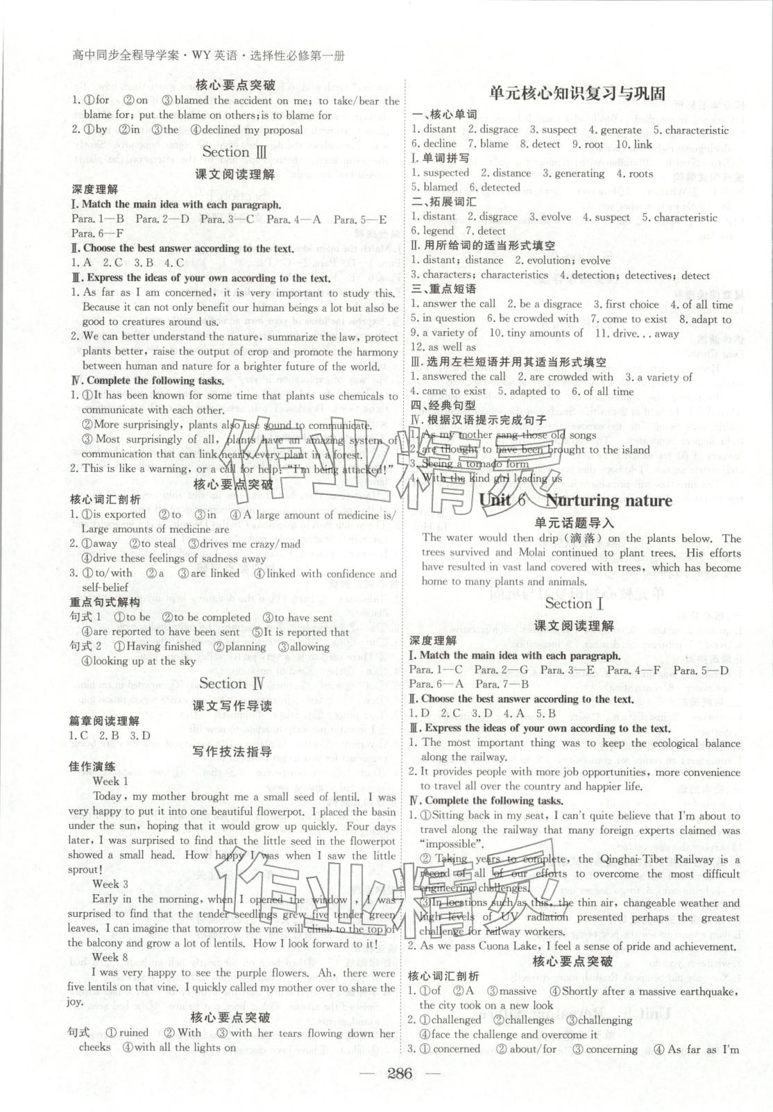 2025年与名师对话高中同步全程导学案高中英语选择性必修第一册外研版 第7页