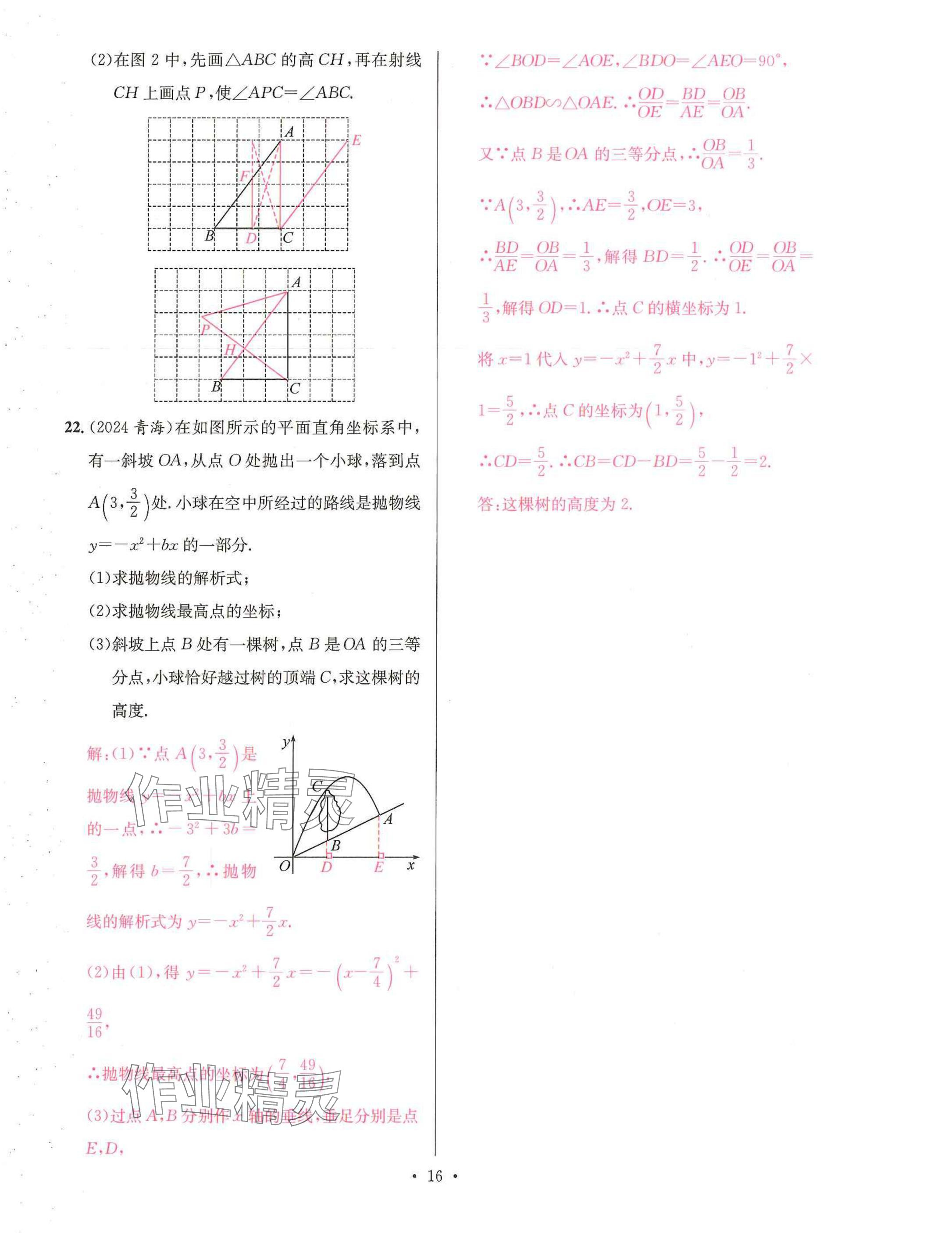 2025年一品中考數(shù)學(xué)武漢專版 參考答案第16頁