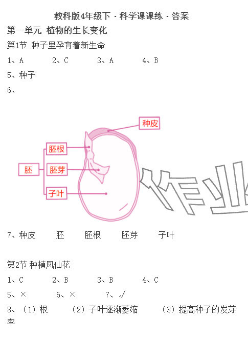 2024年科學(xué)課課練四年級(jí)下冊(cè)教科版 參考答案第1頁(yè)