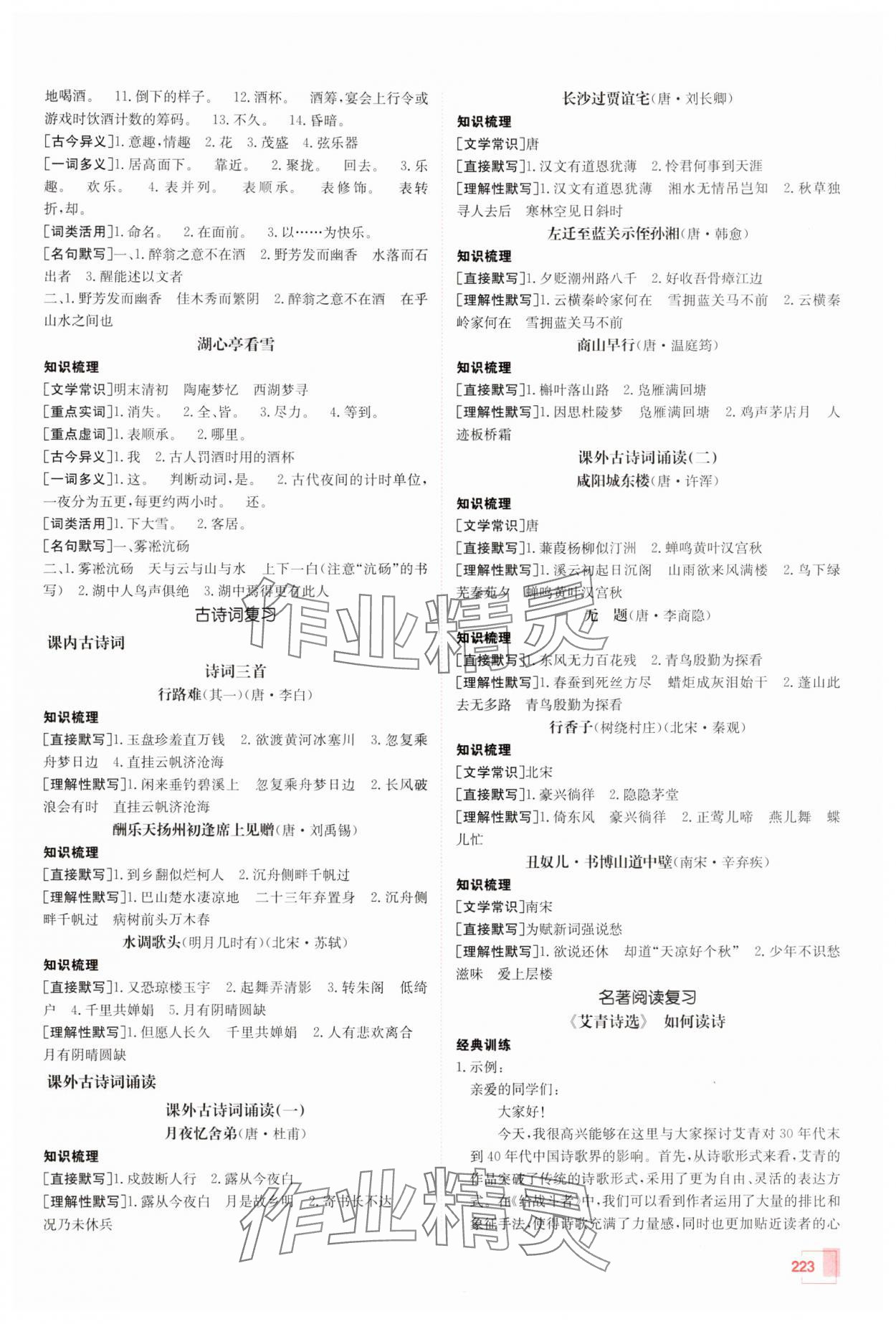 2025年升學(xué)錦囊語(yǔ)文山東專版 參考答案第14頁(yè)