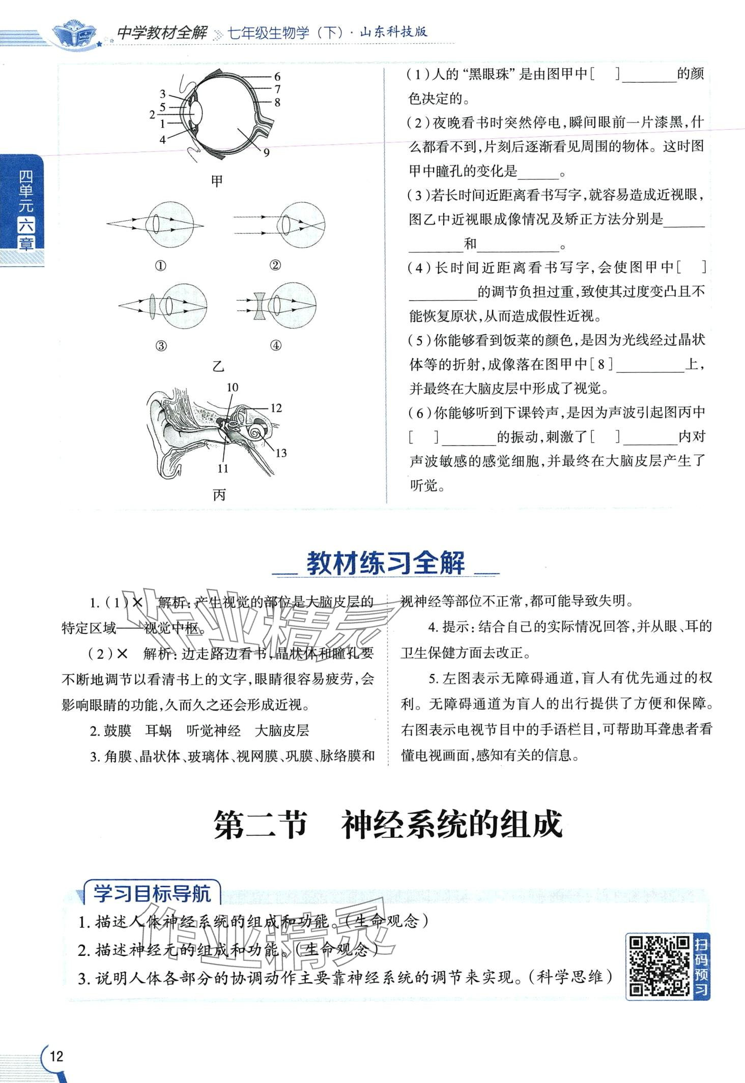 2024年教材课本七年级生物下册鲁科版&nbsp;第12页