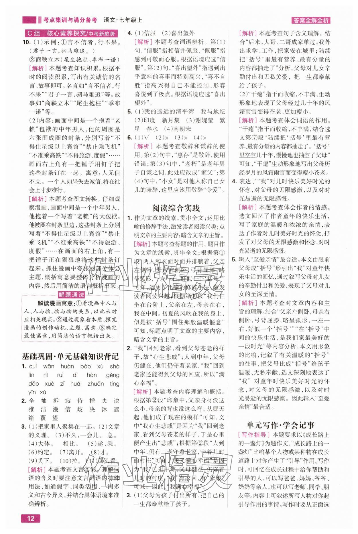 2025年考点集训与满分备考七年级语文上册人教版 第12页