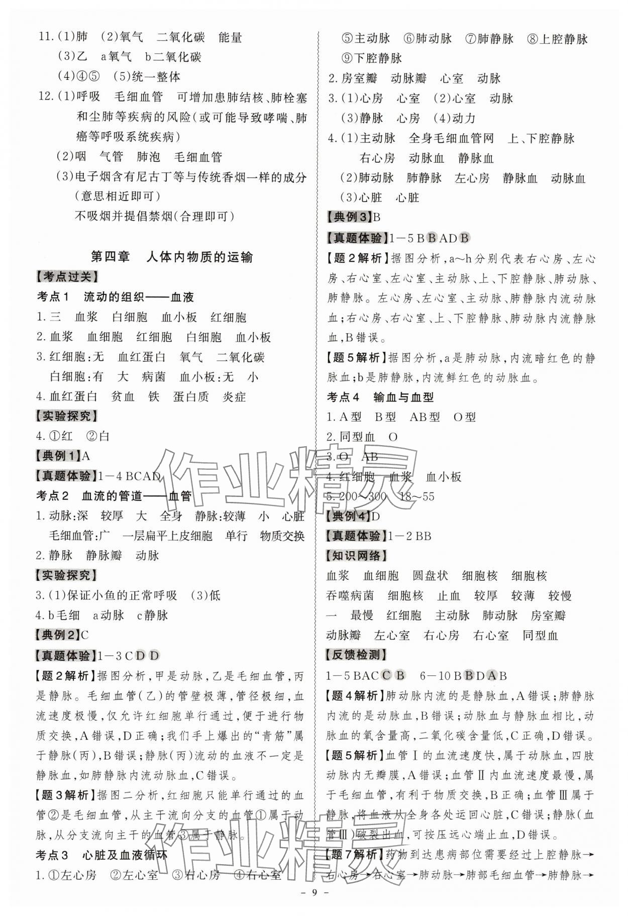 2024年名师中考生物广东专用&nbsp;第9页