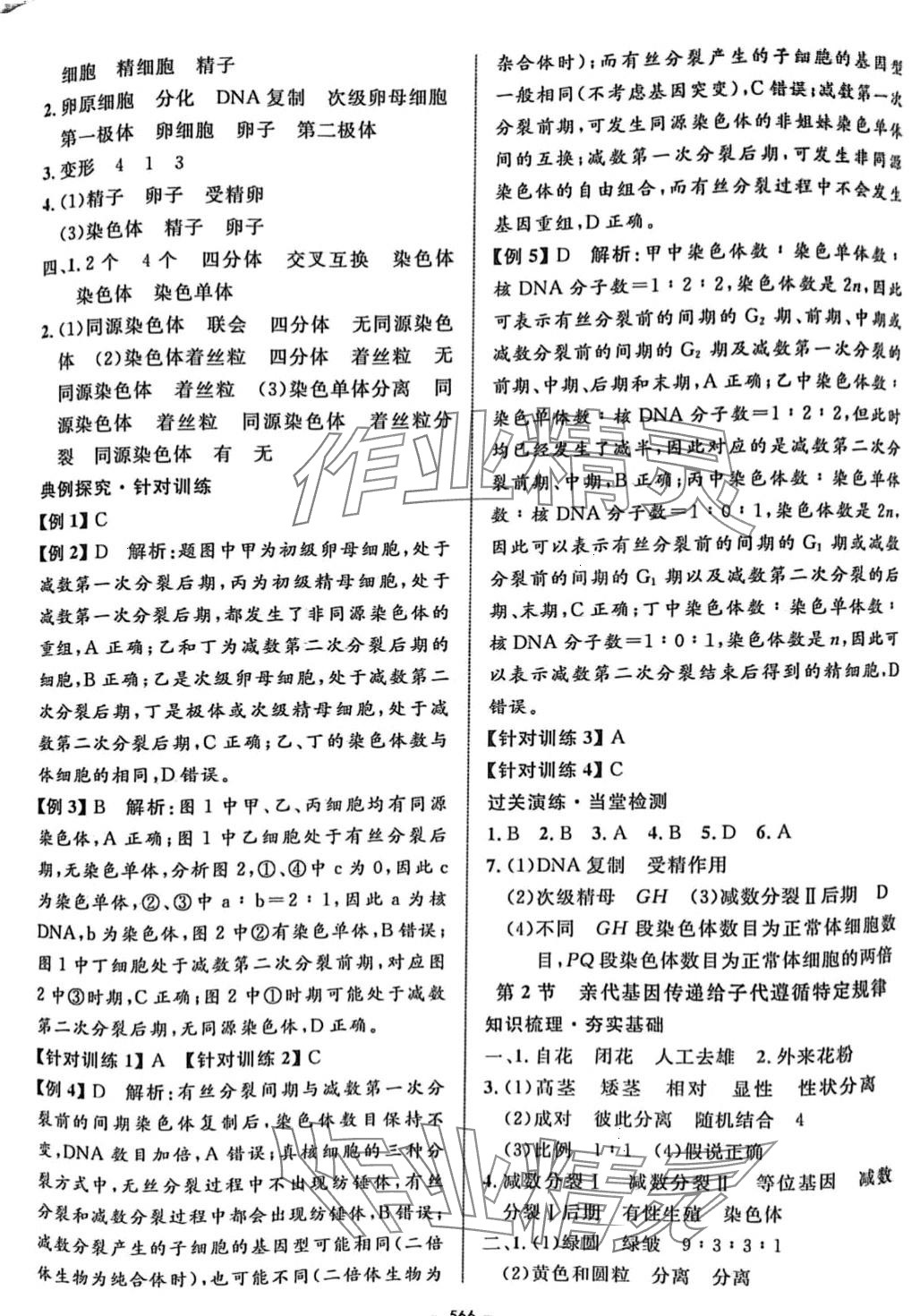 2024年鐘書金牌金典導(dǎo)學(xué)案高三生物滬教版上海專版 第12頁