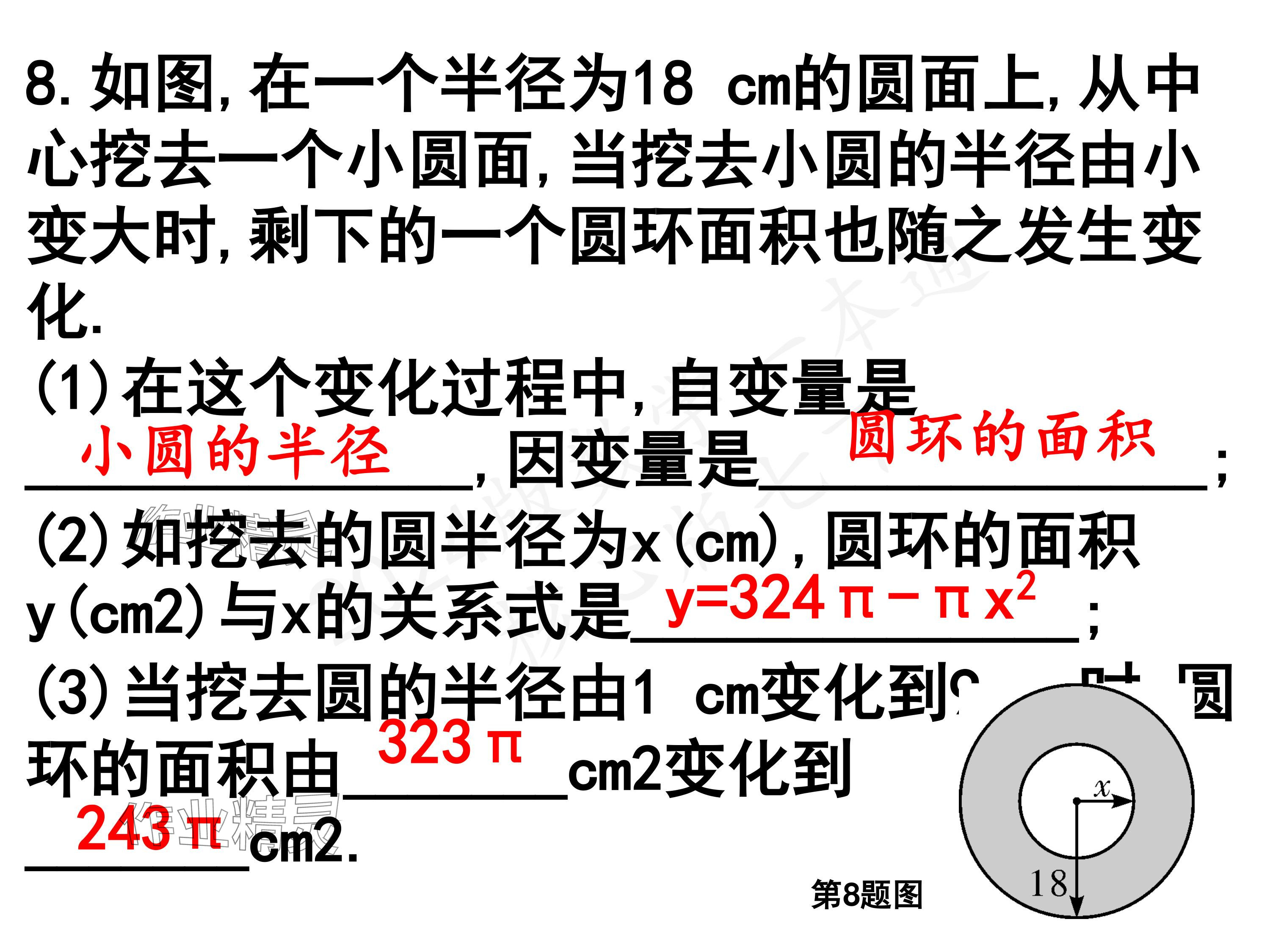 2024年一本通武汉出版社七年级数学下册北师大版 参考答案第22页