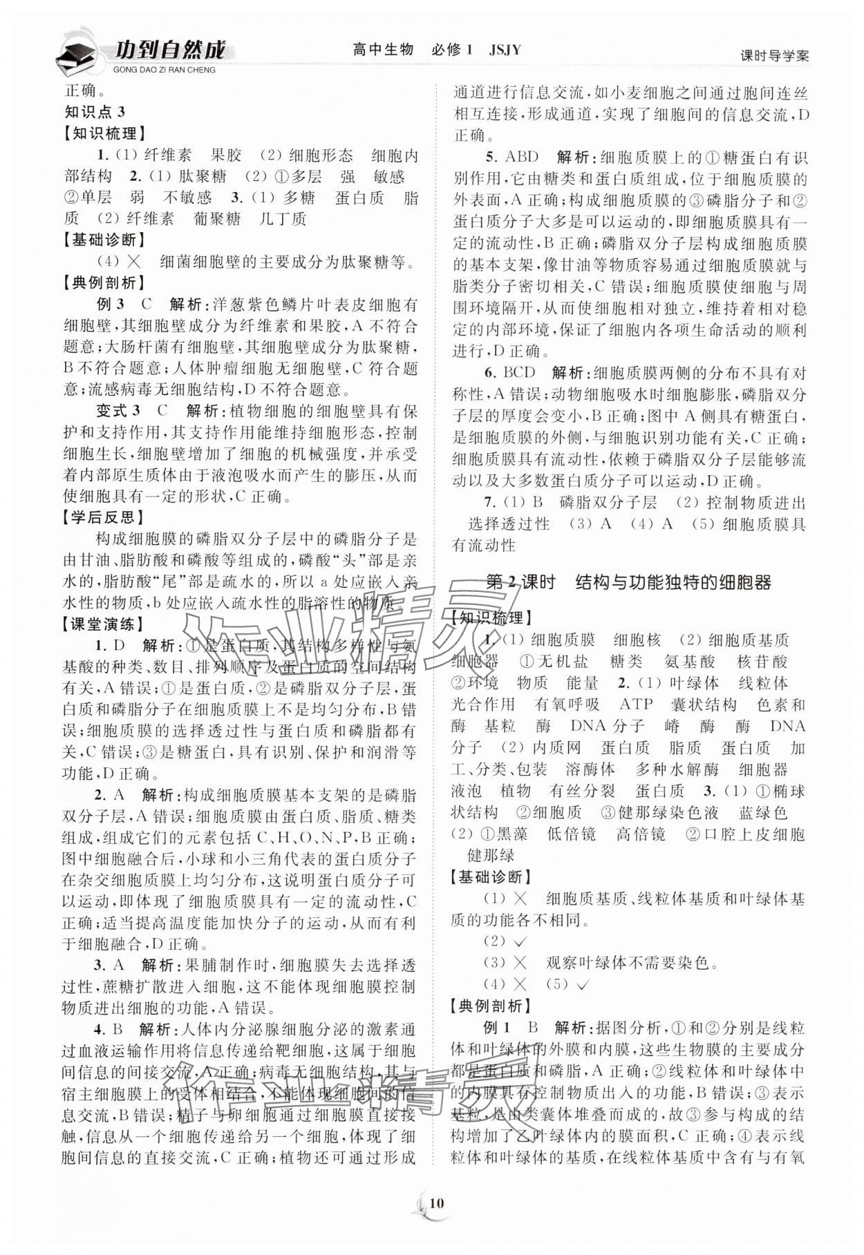 2023年功到自然成課時導(dǎo)學(xué)案高中生物必修1蘇教版 第10頁