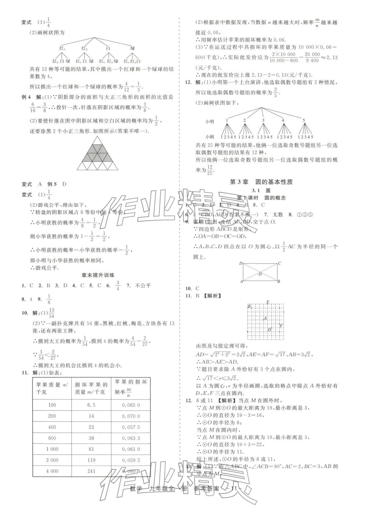 2025年精彩練習就練這一本九年級數(shù)學全一冊浙教版&nbsp;第11頁