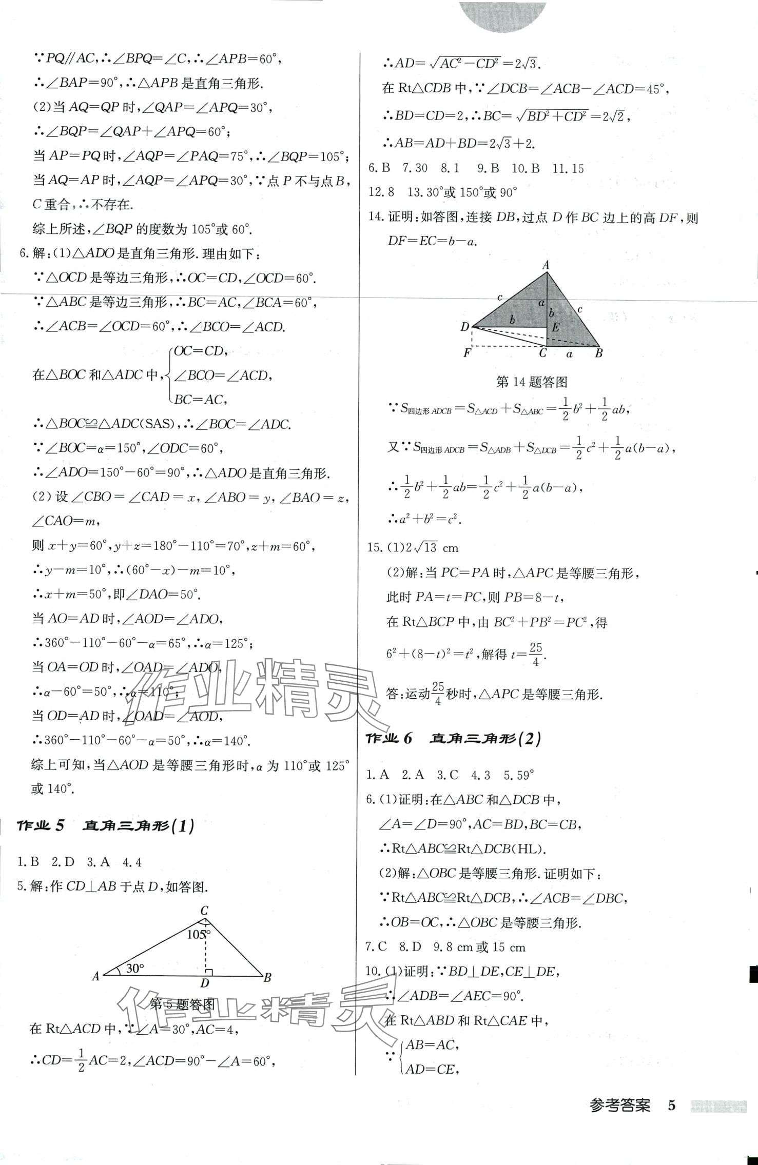 2024年啟東中學(xué)作業(yè)本八年級數(shù)學(xué)下冊北師大版 第5頁