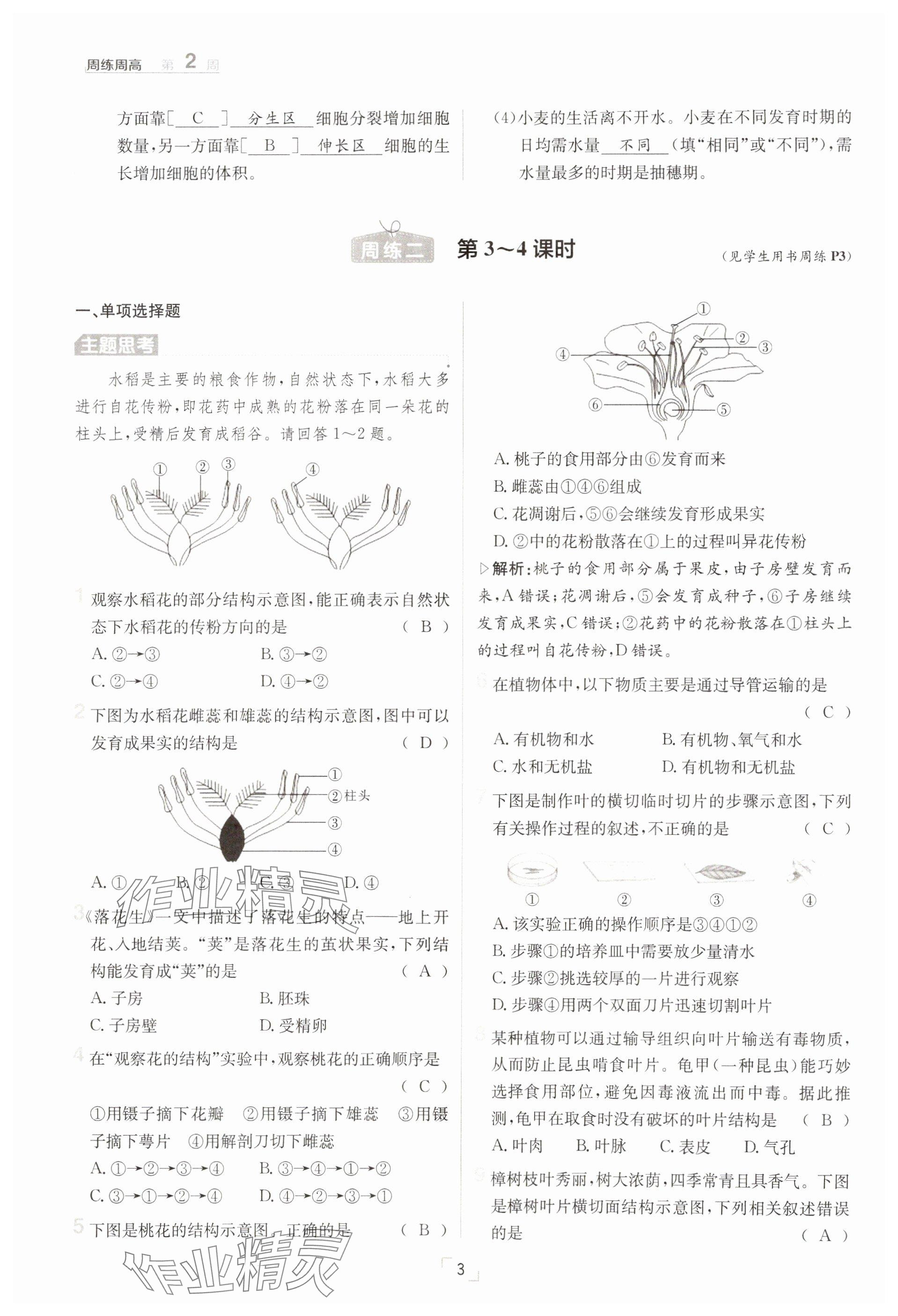 2025年日清周練七年級(jí)生物下冊(cè)人教版 參考答案第3頁(yè)