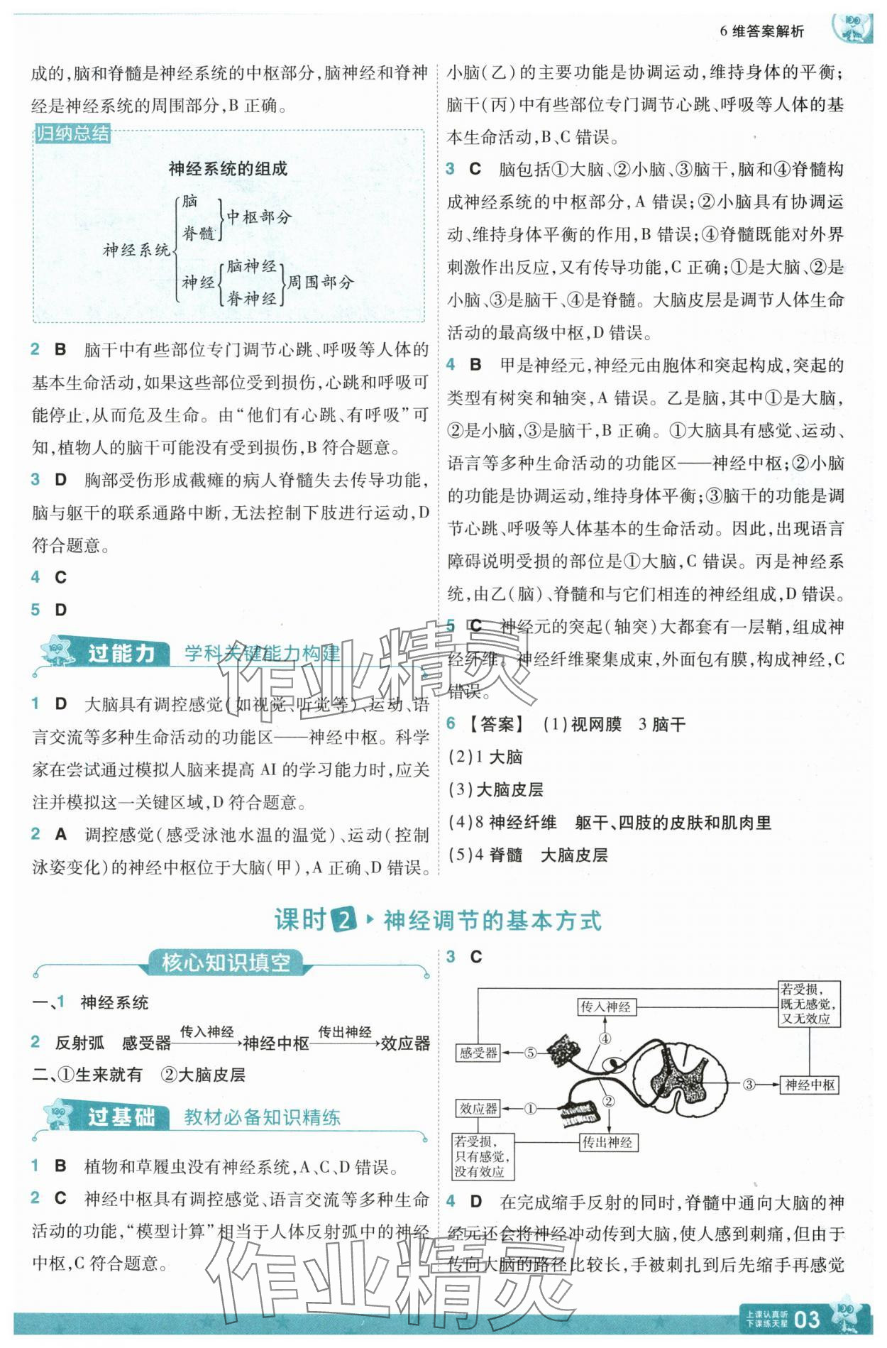 2025年一遍过八年级生物上册人教版 第3页