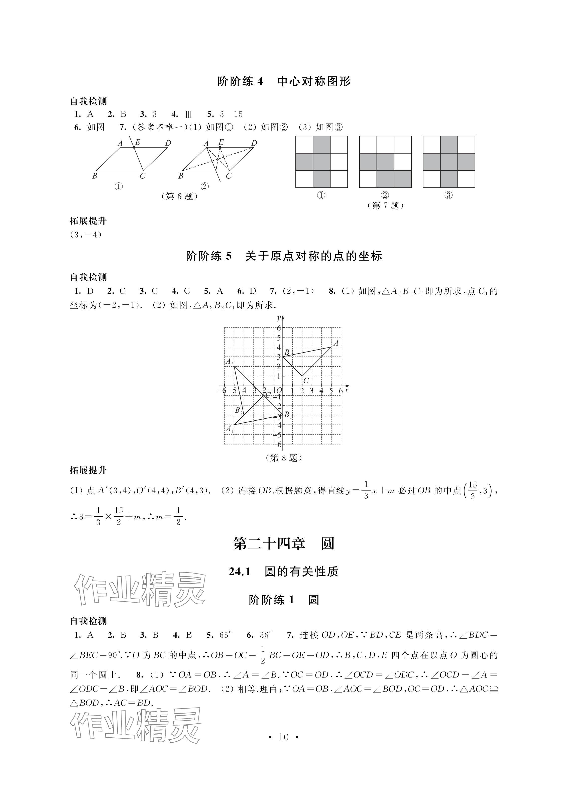 2024年自我提升與評(píng)價(jià)九年級(jí)數(shù)學(xué)上冊(cè)人教版 參考答案第10頁(yè)