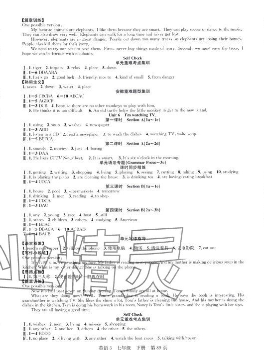 2024年课时夺冠七年级英语下册人教版安徽专版 第5页