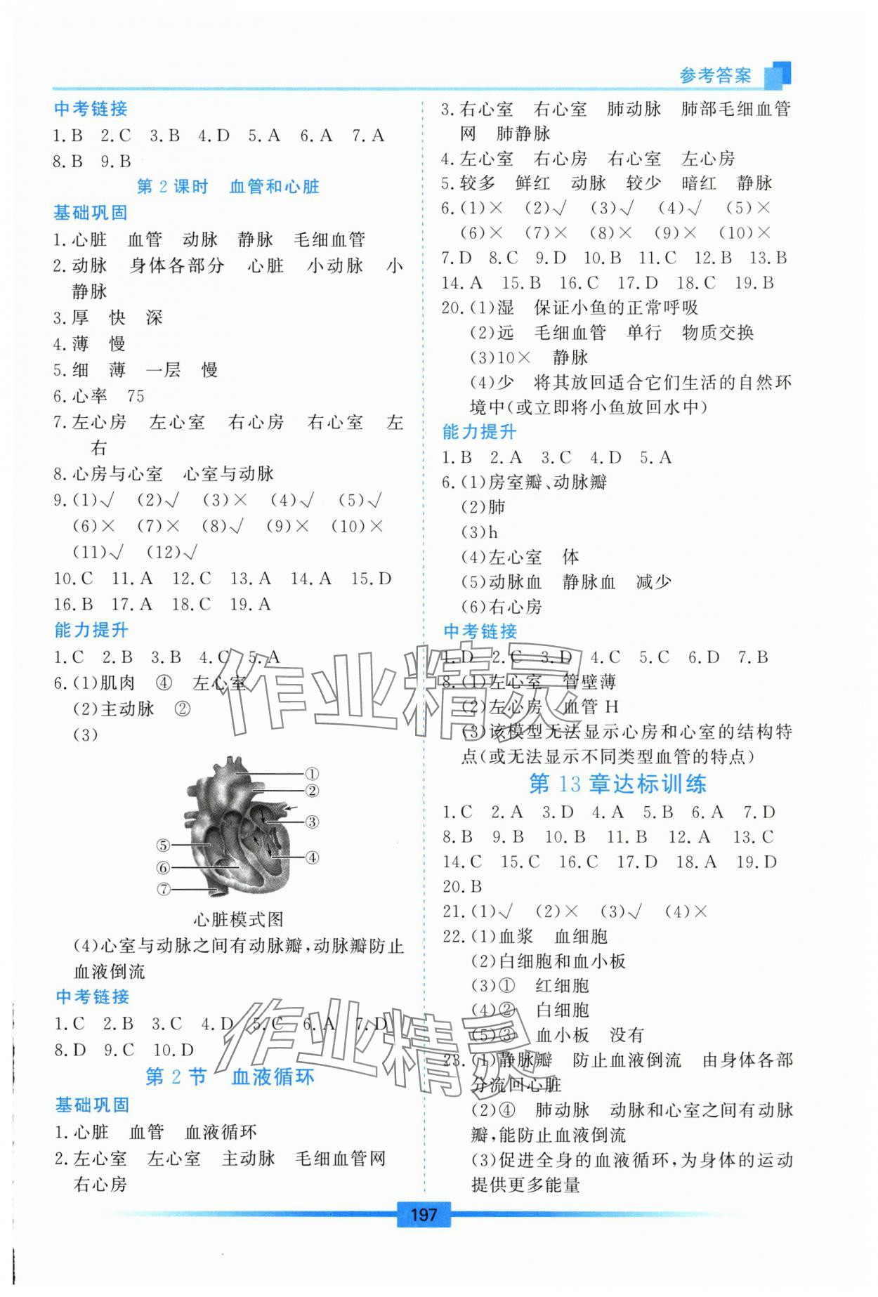 2025年学习检测八年级生物上册苏教版 第3页