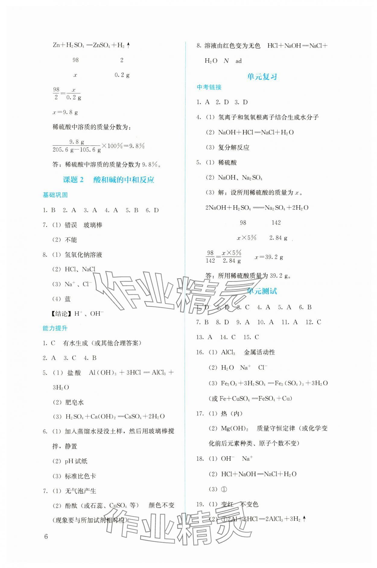 2024年人教金学典同步解析与测评九年级化学下册人教版 第6页