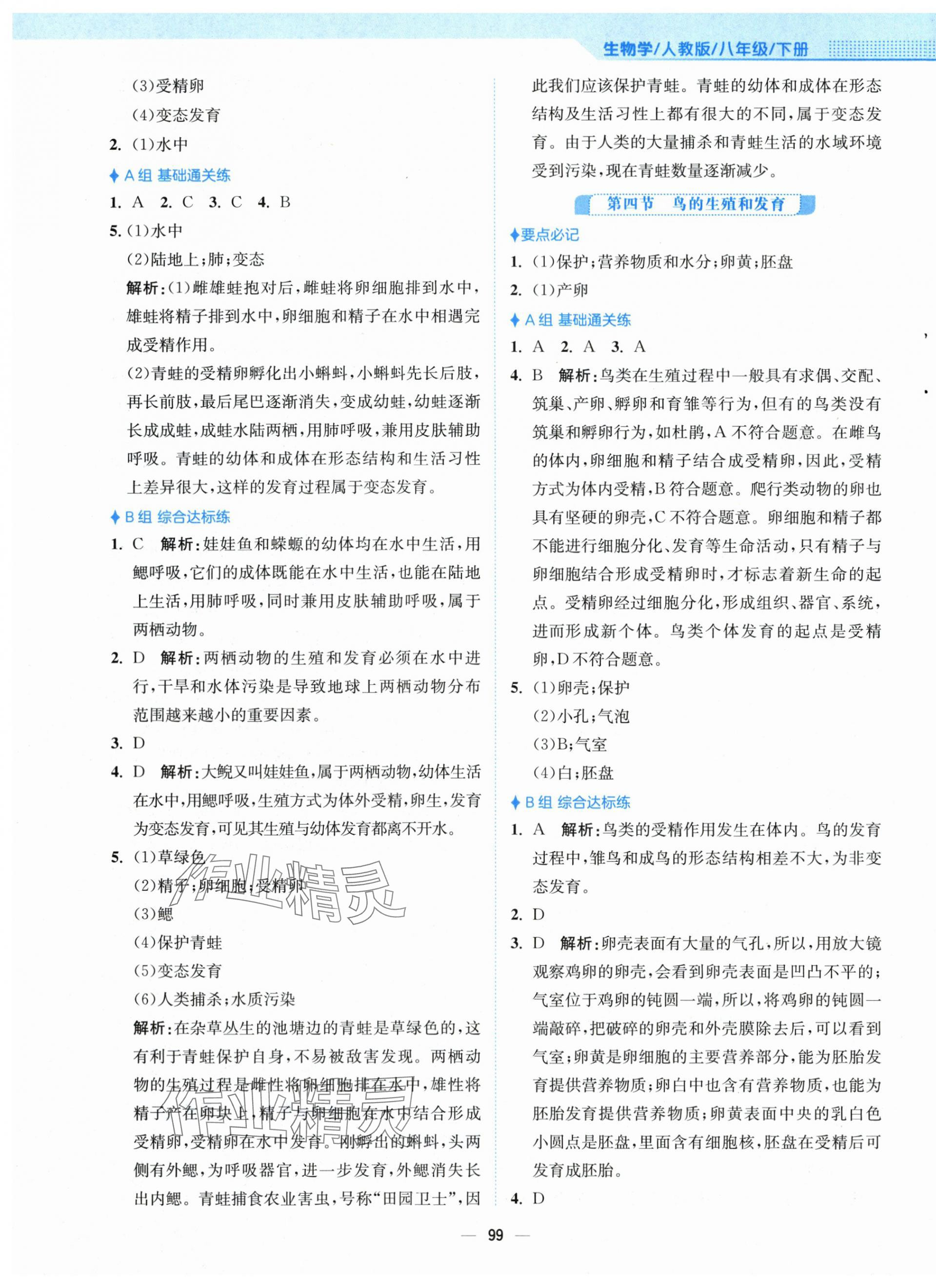 2024年新編基礎(chǔ)訓(xùn)練八年級(jí)生物下冊(cè)人教版 第3頁