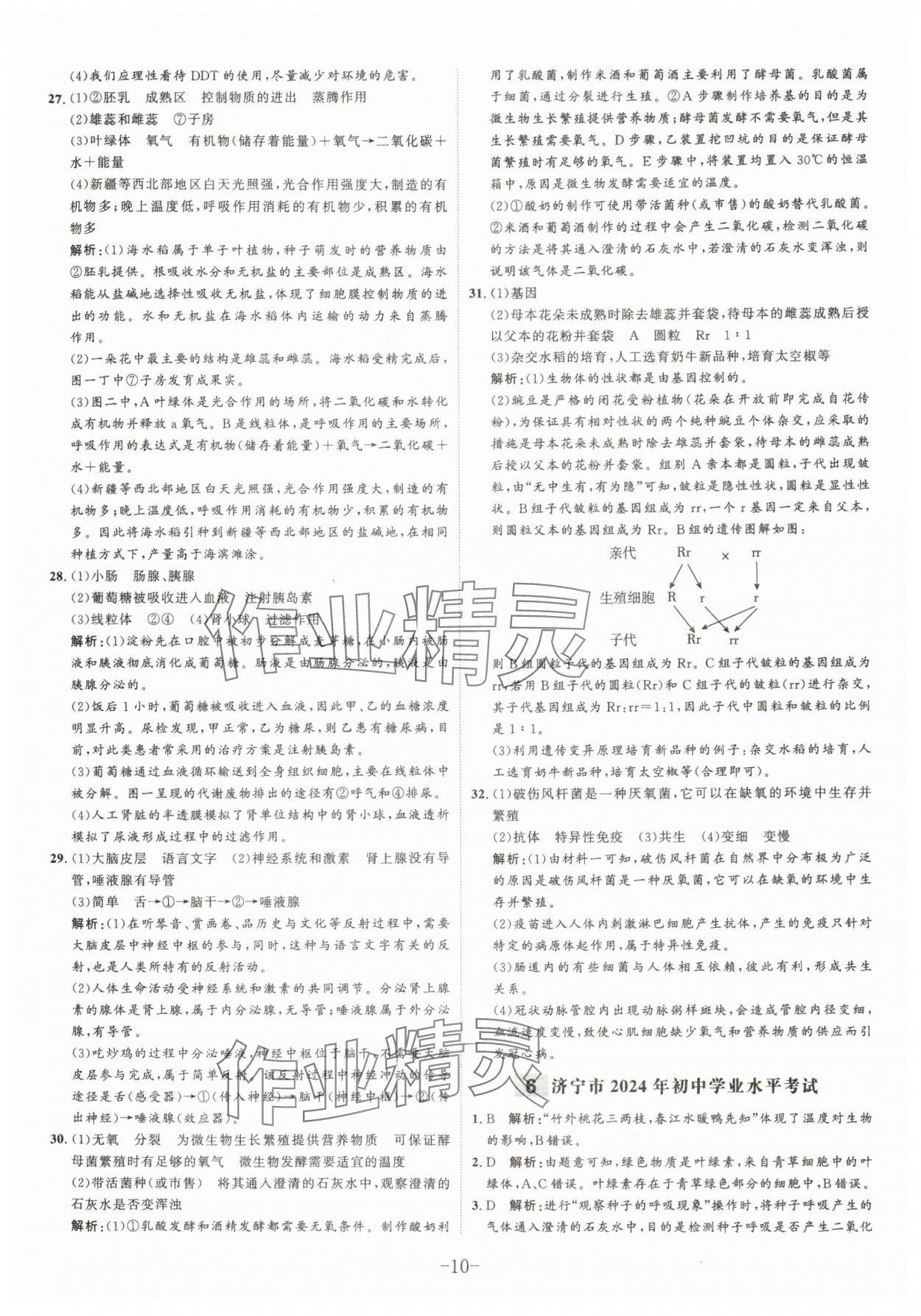 2025年中考試題匯編與解析生物山東專版 參考答案第10頁