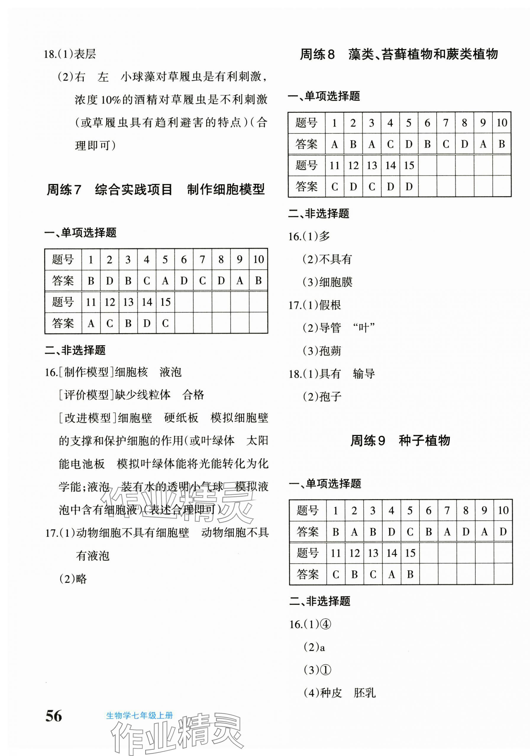 2024年優(yōu)學1+1評價與測試七年級生物上冊人教版 第3頁