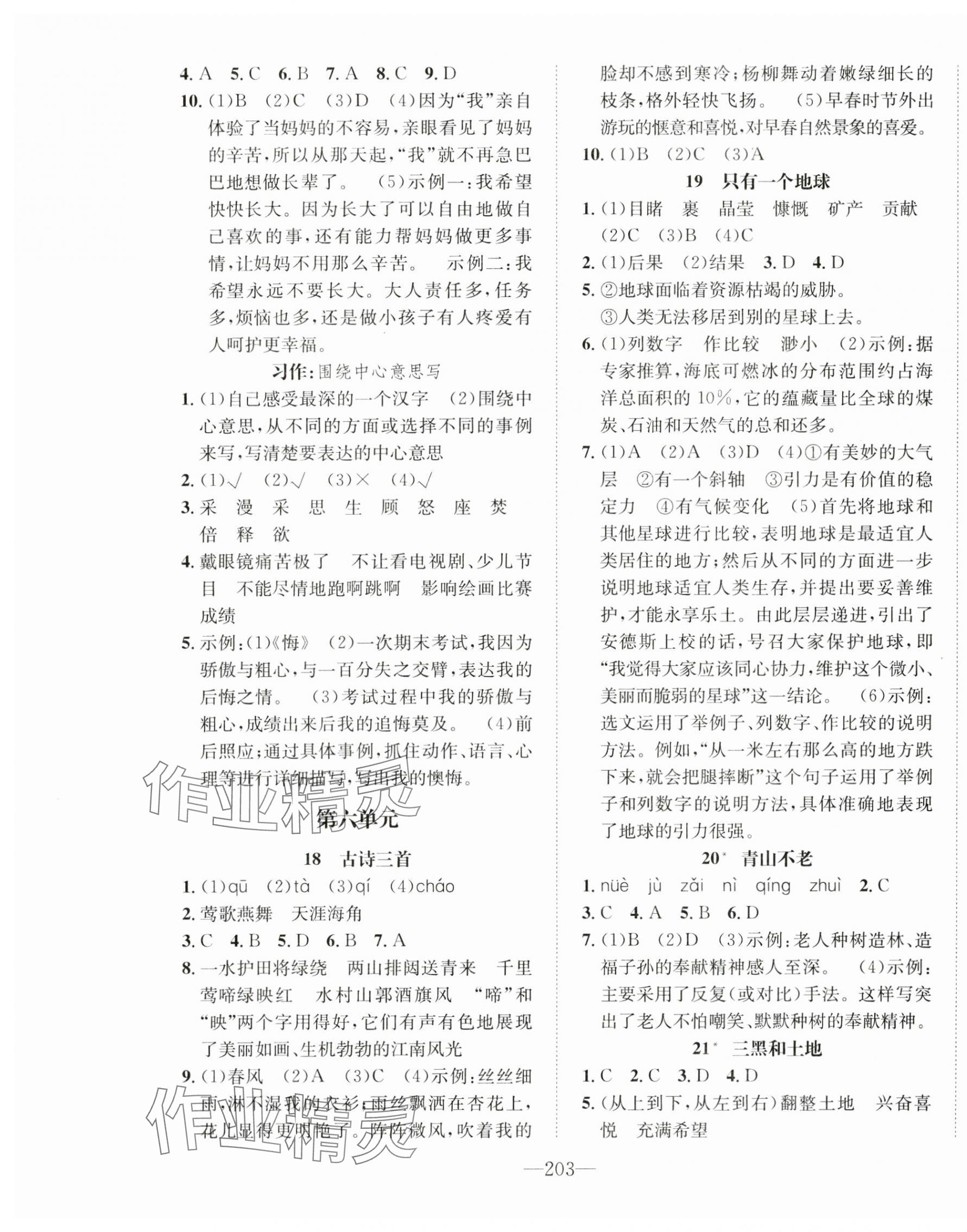 2024年一课3练培优作业本六年级语文上册人教版福建专版 参考答案第7页