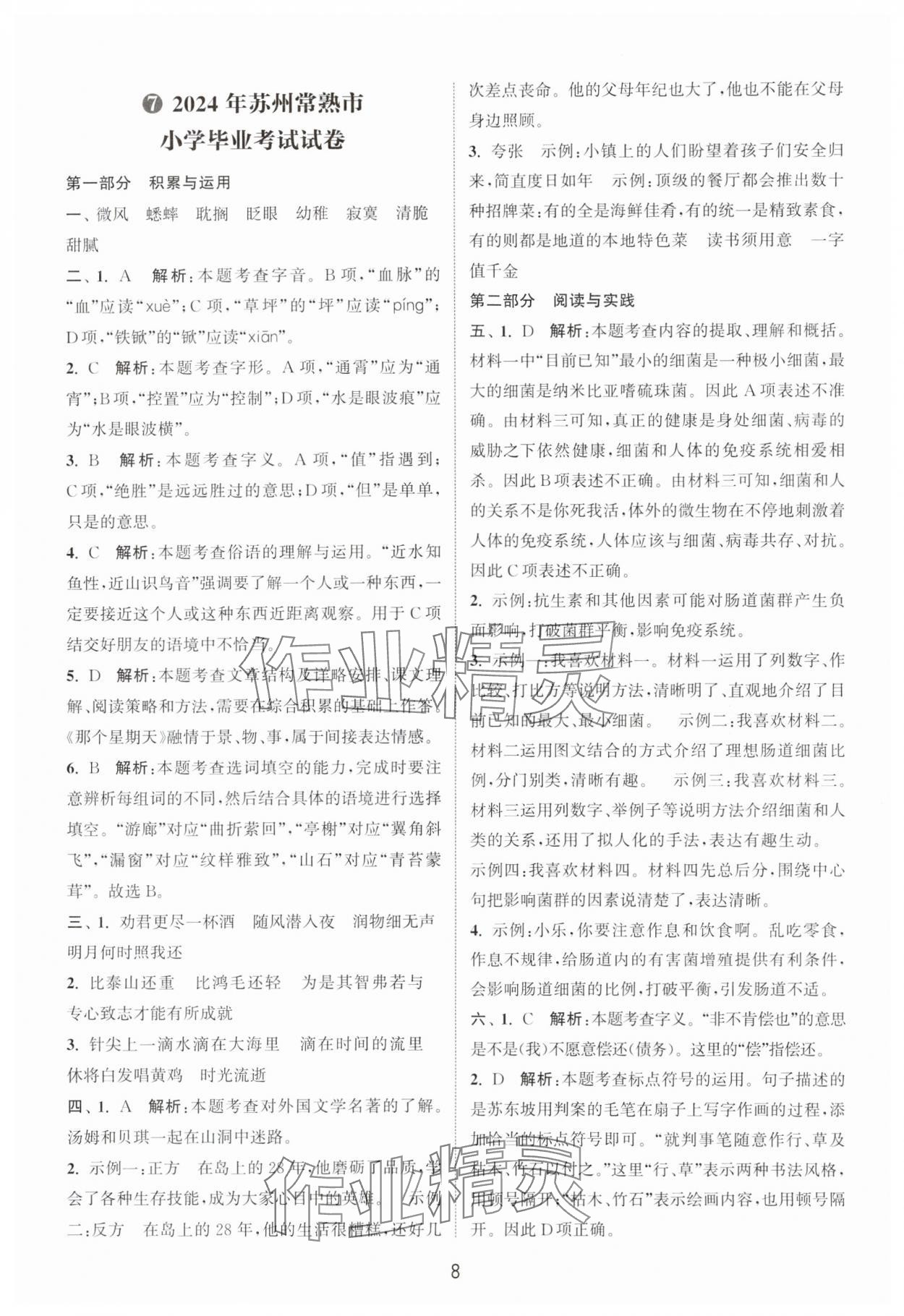 2025年小学毕业考试试卷精编语文江苏专版 第8页
