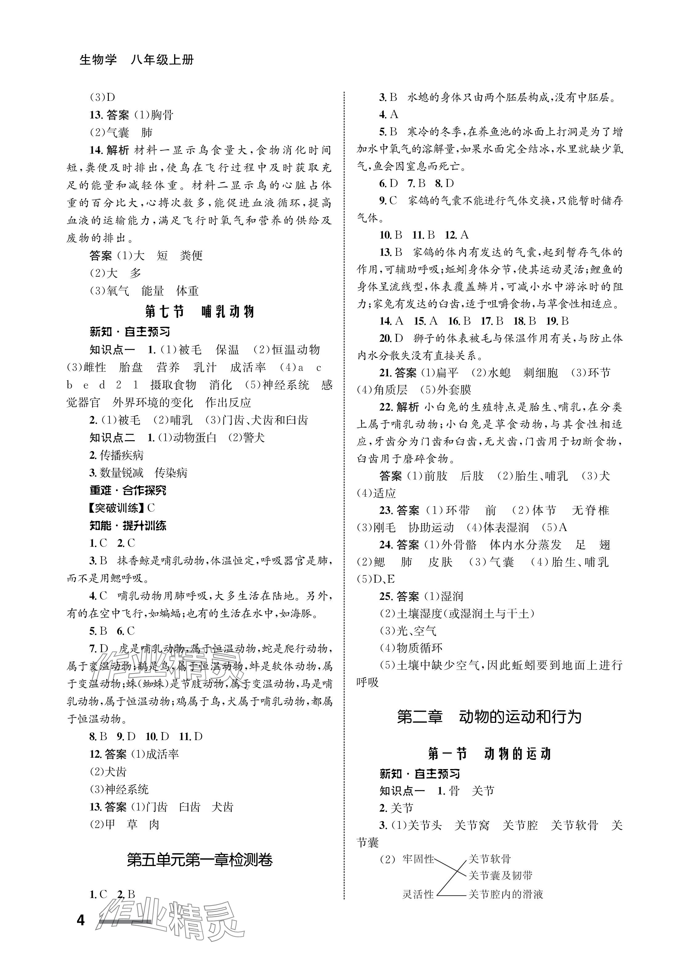 2023年配套綜合練習甘肅八年級生物上冊人教版 參考答案第4頁