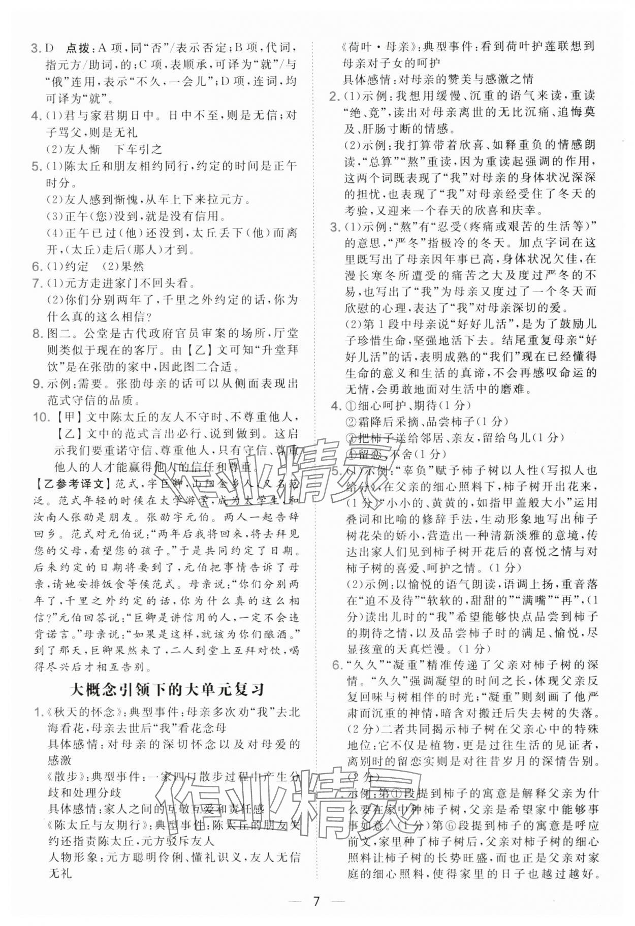 2025年點(diǎn)撥訓(xùn)練七年級(jí)語文上冊(cè)人教版 第7頁