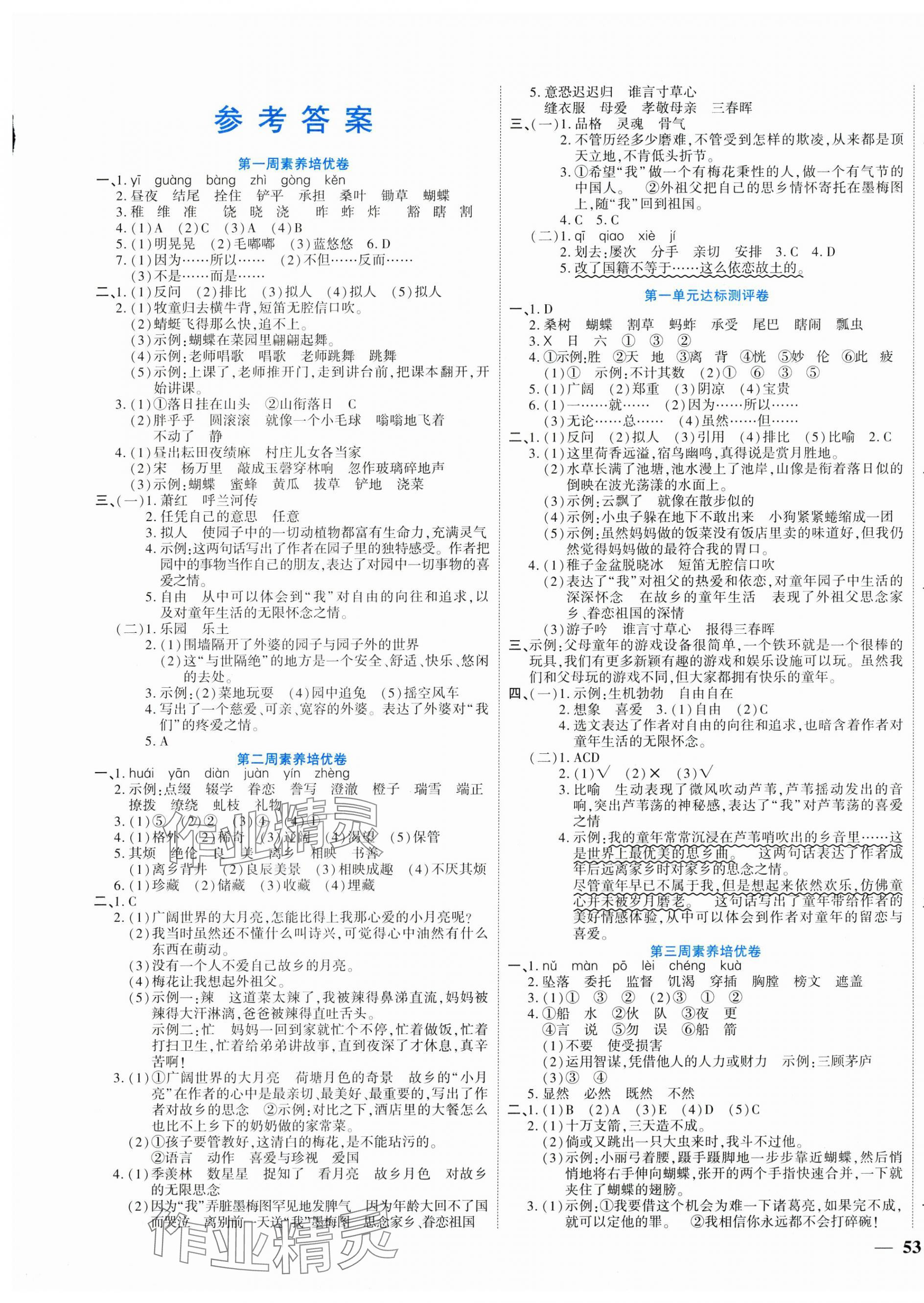 2025年金優(yōu)教輔全能練考卷五年級語文下冊人教版 第1頁