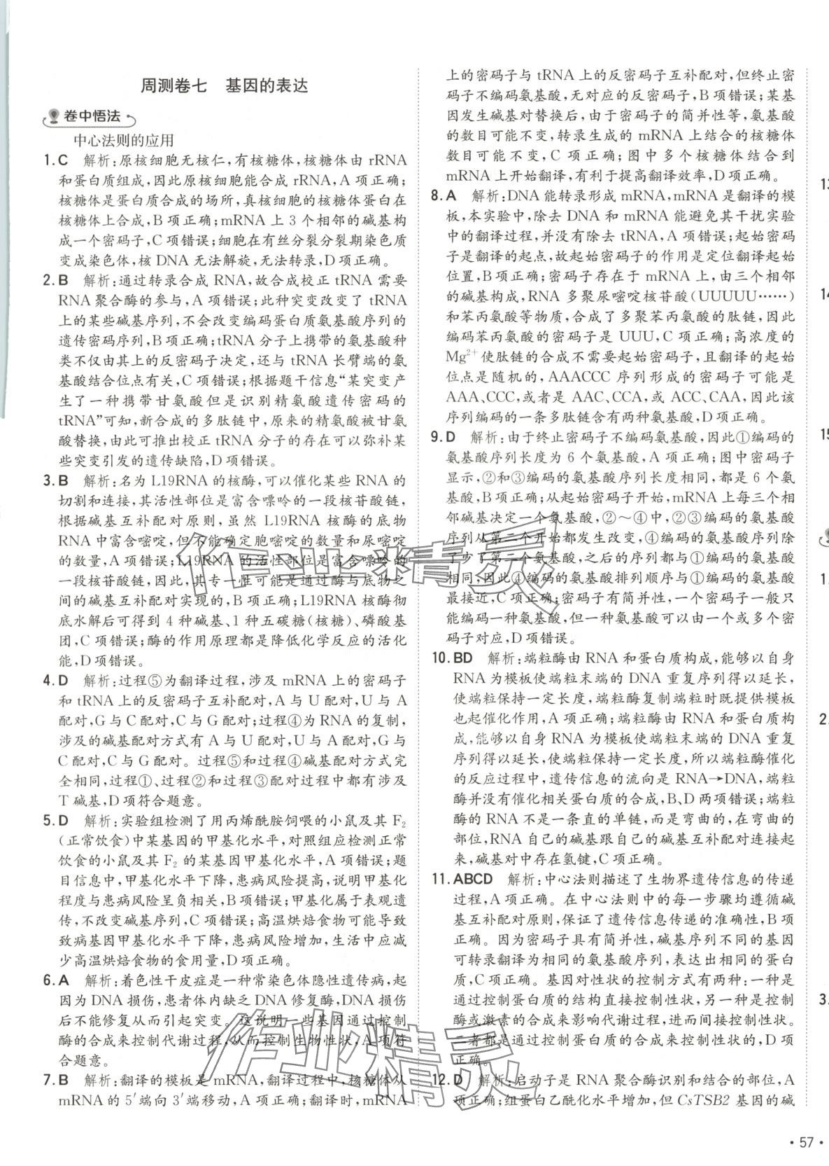 2025年卷霸高中同步測試卷高中生物必修2人教版 第9頁