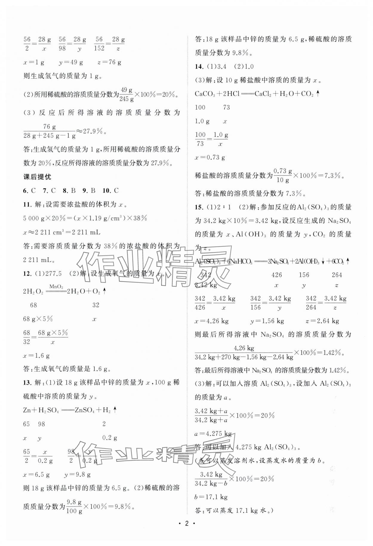 2024年课时提优计划作业本九年级化学下册沪教版 第2页