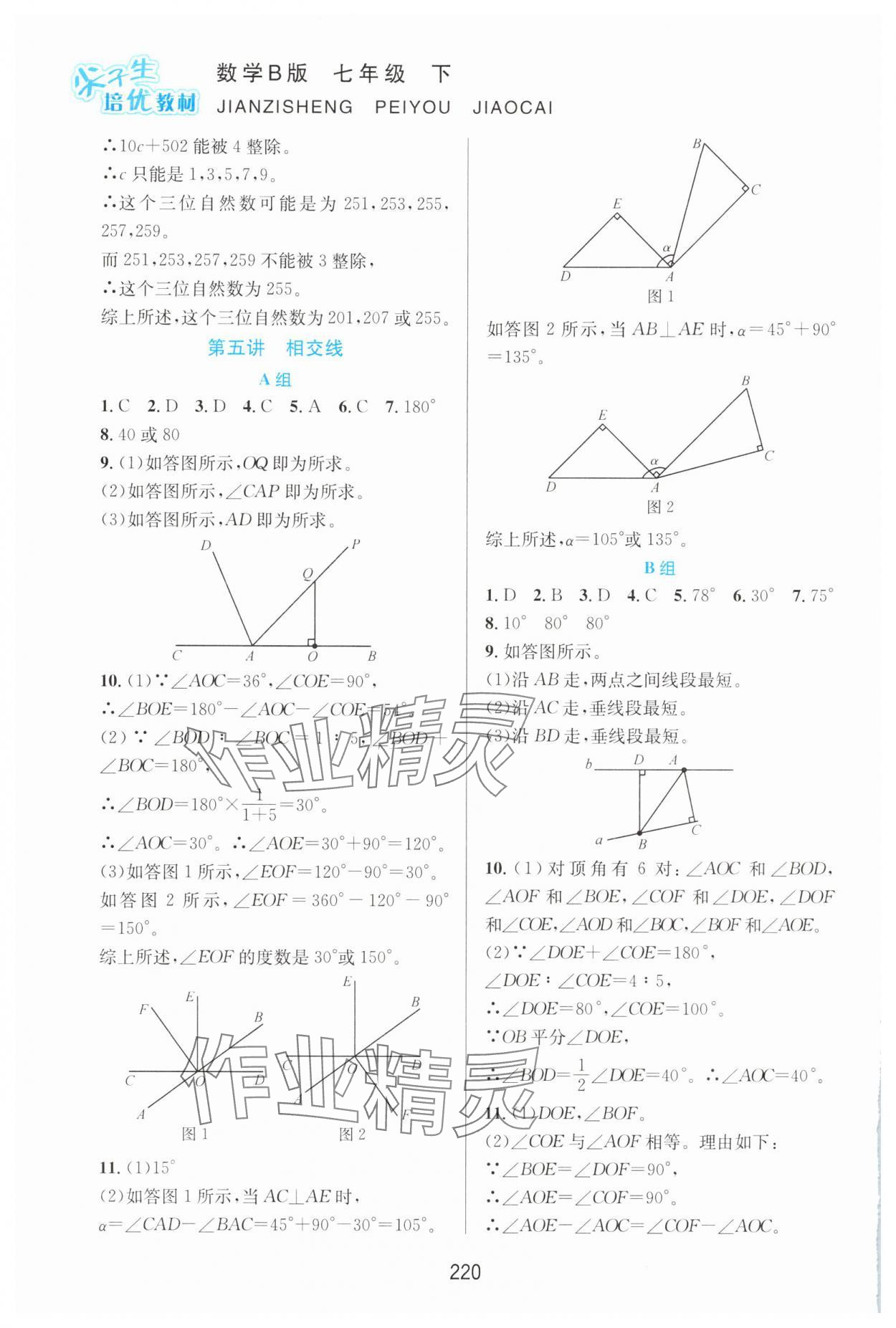 2025年尖子生培優(yōu)教材七年級(jí)數(shù)學(xué)下冊(cè)北師大版B版 第6頁