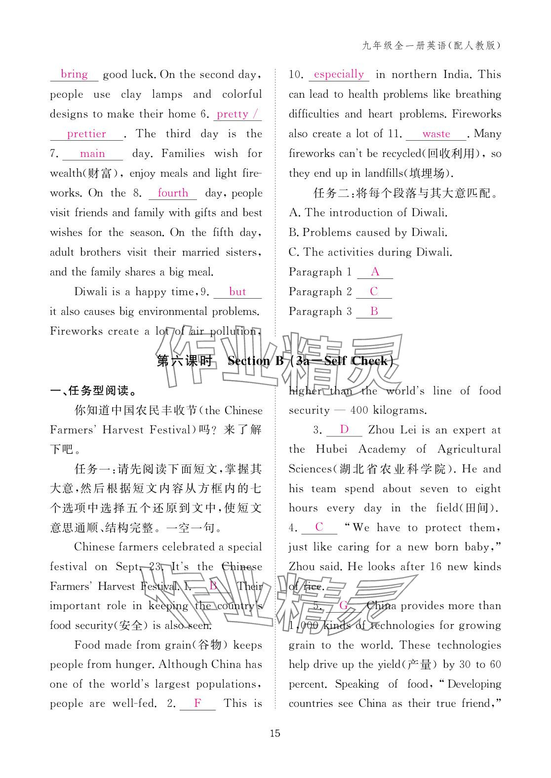 2025年作业本江西教育出版社九年级英语全一册人教版 参考答案第15页