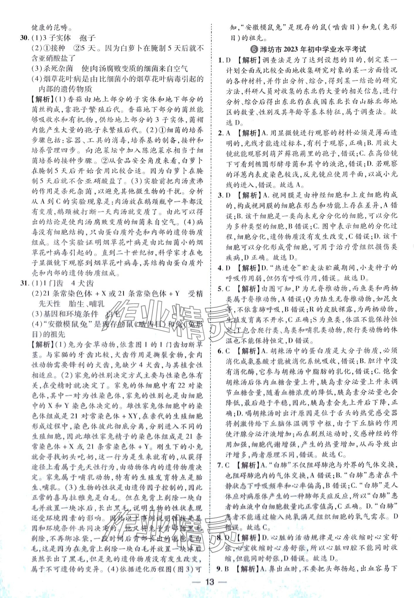 2024年鲁人泰斗中考必备中考试题汇编生物中考&nbsp;第13页