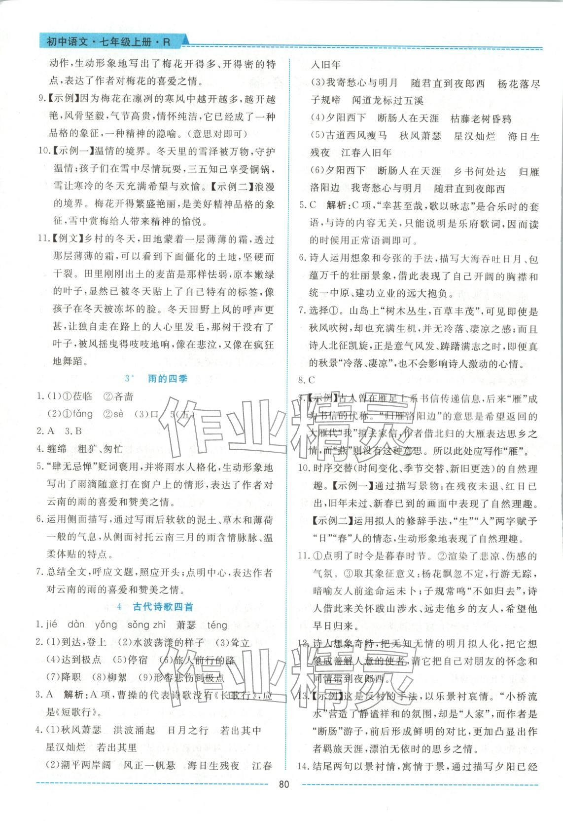 2025年绩优课堂高效提升满分备考七年级语文上册人教版 第2页