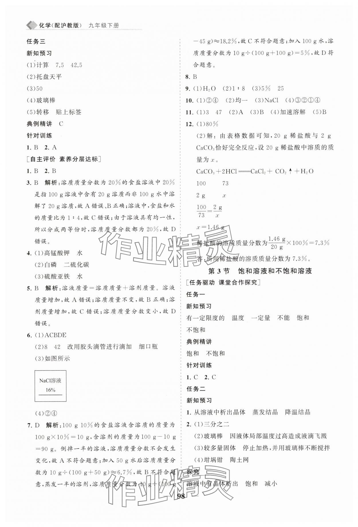 2025年新課程同步練習冊九年級化學下冊滬教版 第2頁