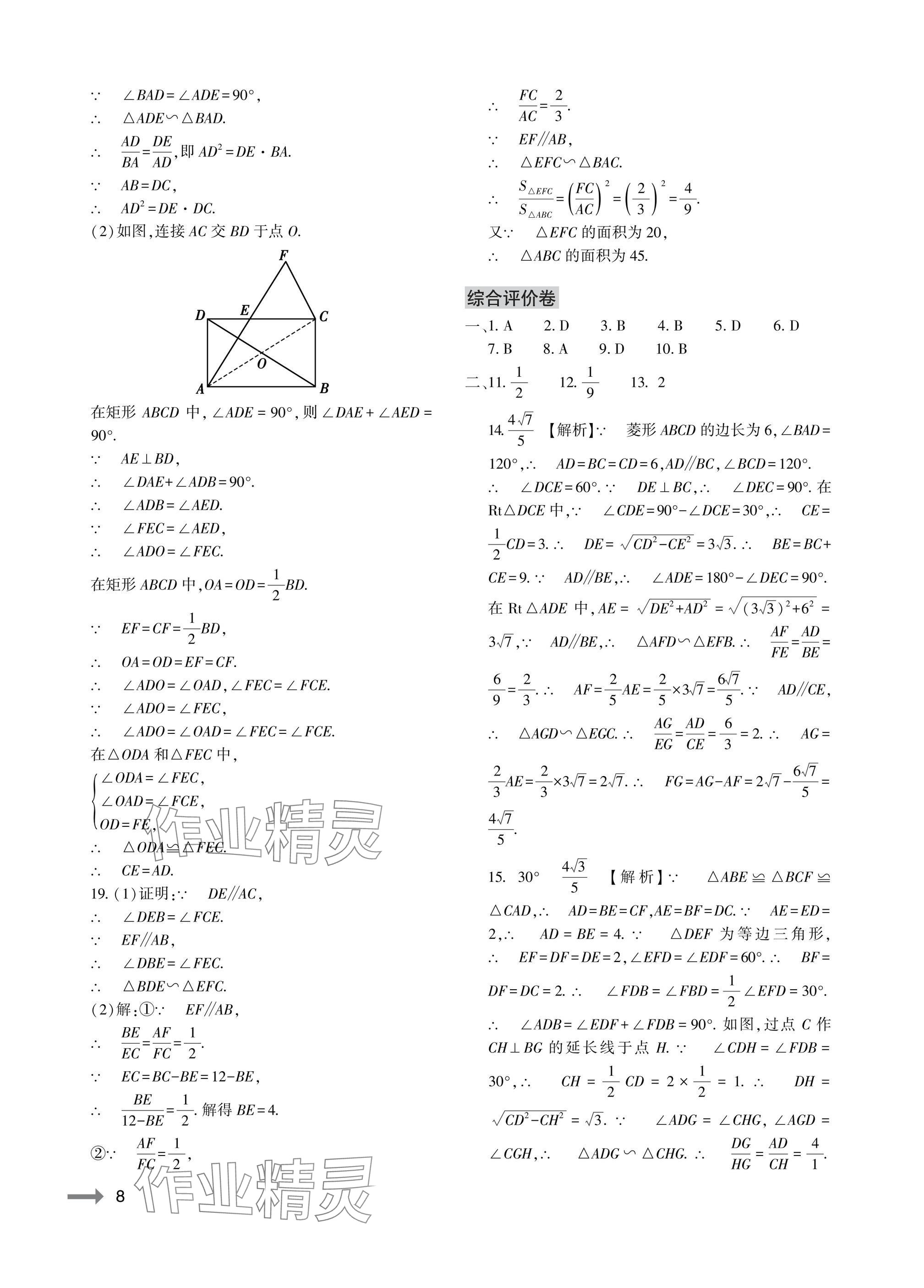2025年节节高大象出版社九年级数学全一册华师大版 参考答案第8页