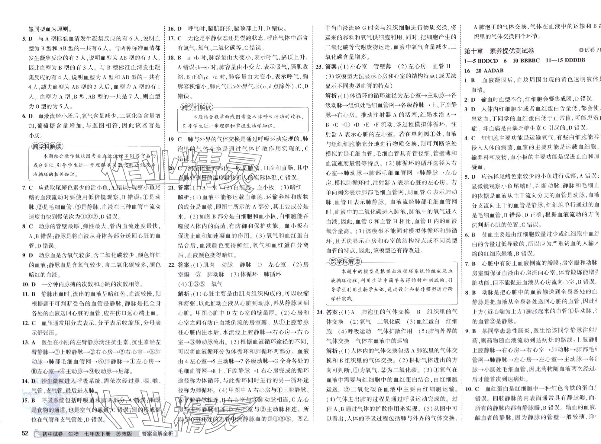 2024年5年中考3年模擬初中試卷七年級生物下冊蘇教版 第4頁