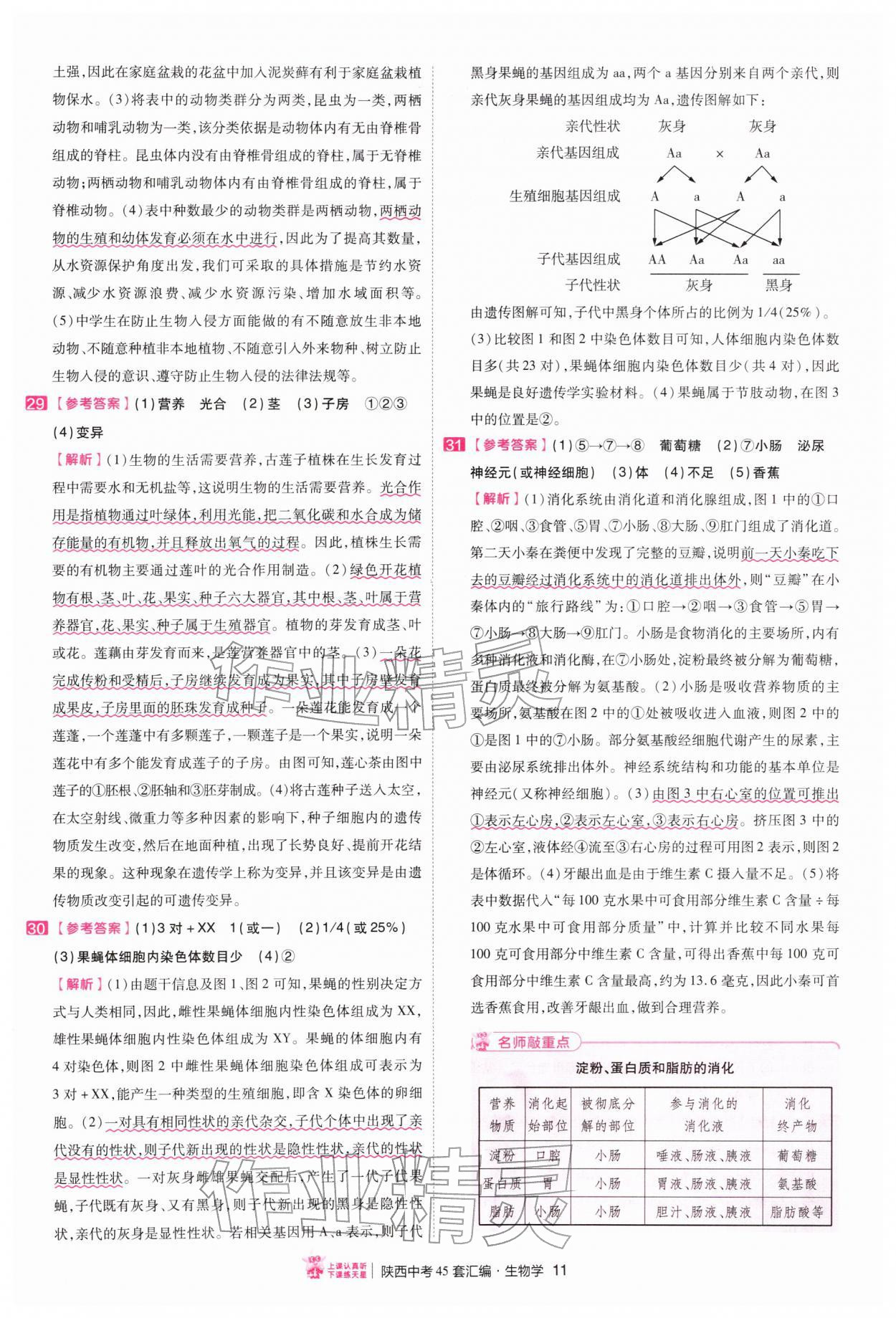 2026年金考卷45套汇编生物中考人教版陕西专版&nbsp;第11页