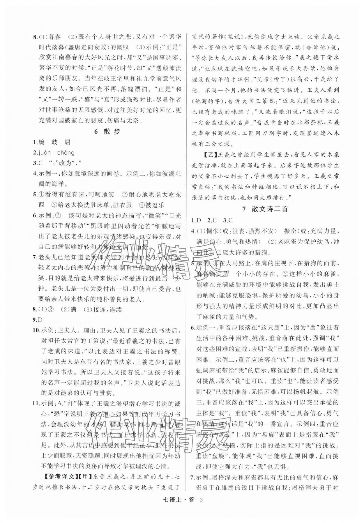 2025年名师面对面满分特训方案七年级语文上册人教版浙江专版 参考答案第3页