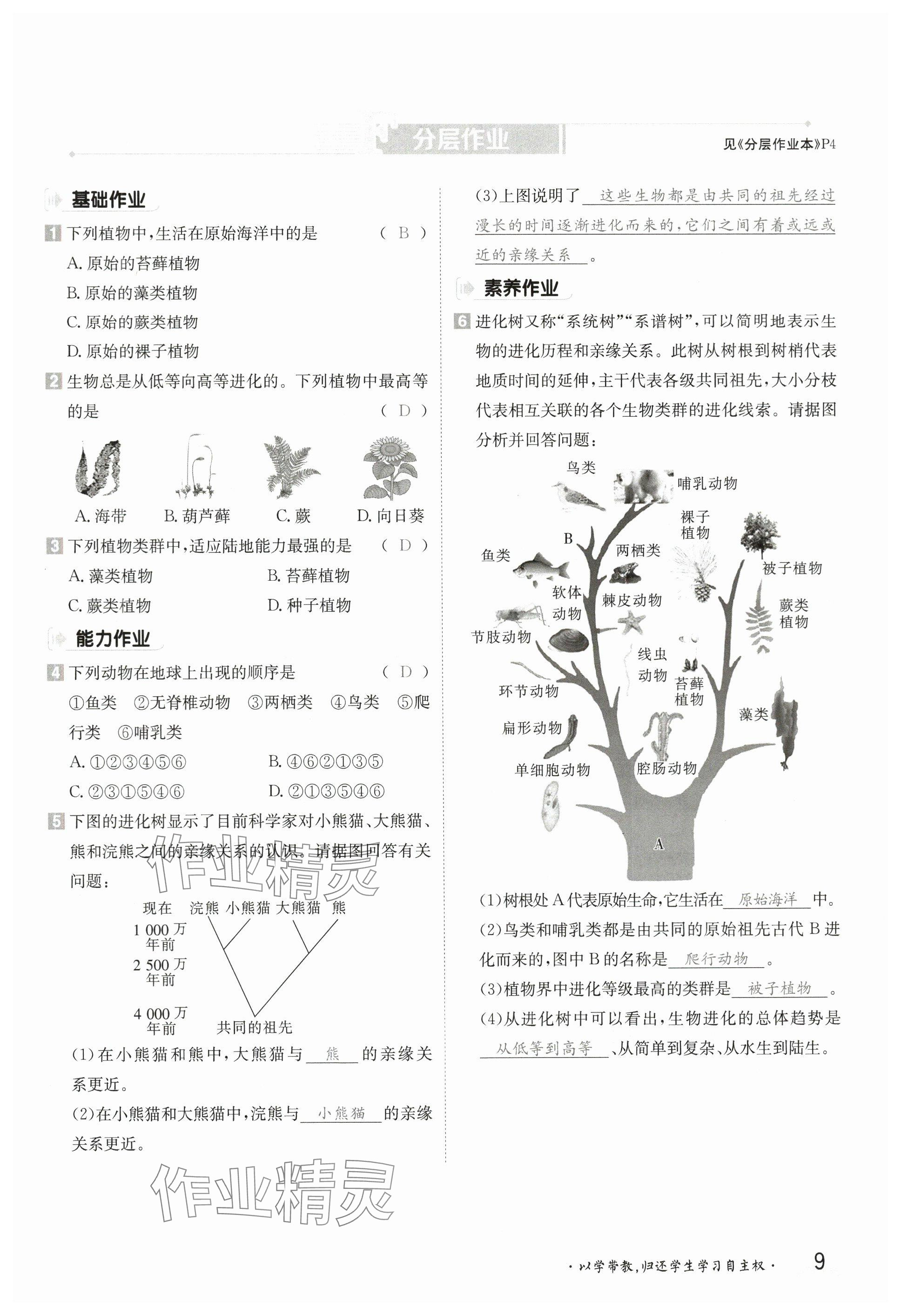 2025年金太陽導(dǎo)學(xué)案八年級生物下冊北師大版 參考答案第8頁