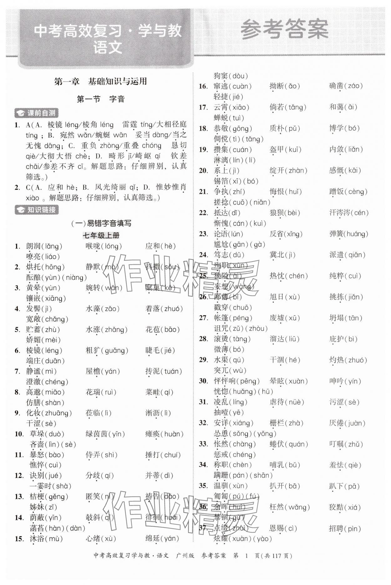 2024年中考高效复习学与教语文广州专版 参考答案第1页