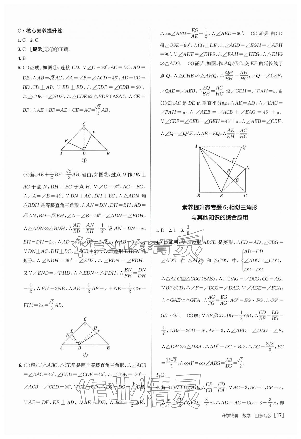 2024年升學(xué)錦囊數(shù)學(xué)山東專版 第17頁(yè)