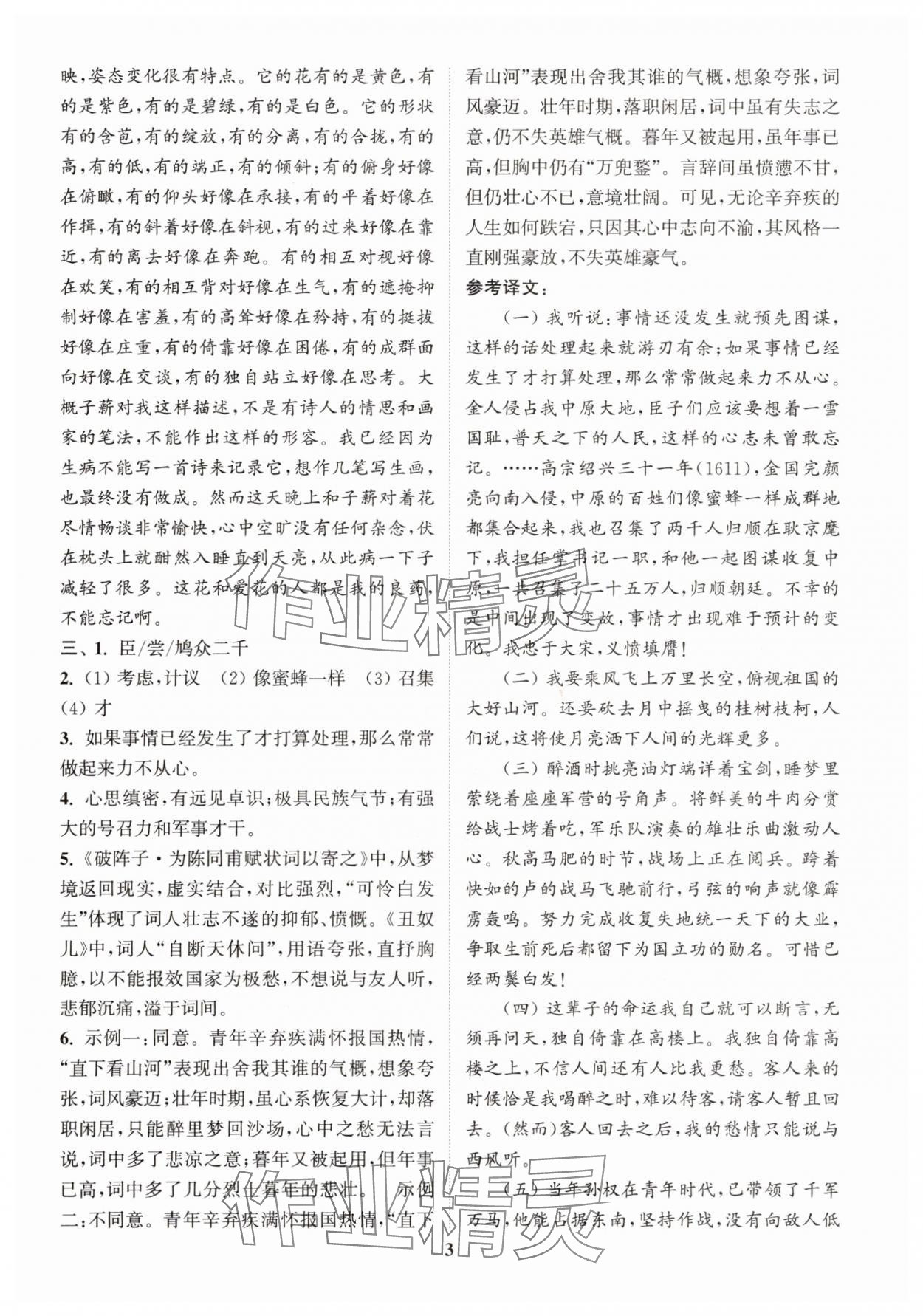 2025年中考專題復(fù)習(xí)模擬沖刺卷語文 第3頁