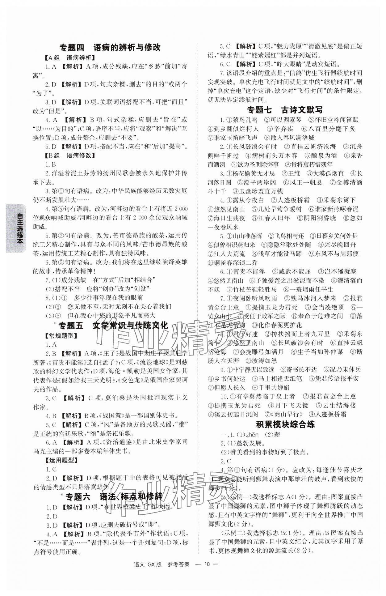 2025年全效學(xué)習(xí)中考學(xué)練測(cè)語(yǔ)文廣西專(zhuān)版 第10頁(yè)