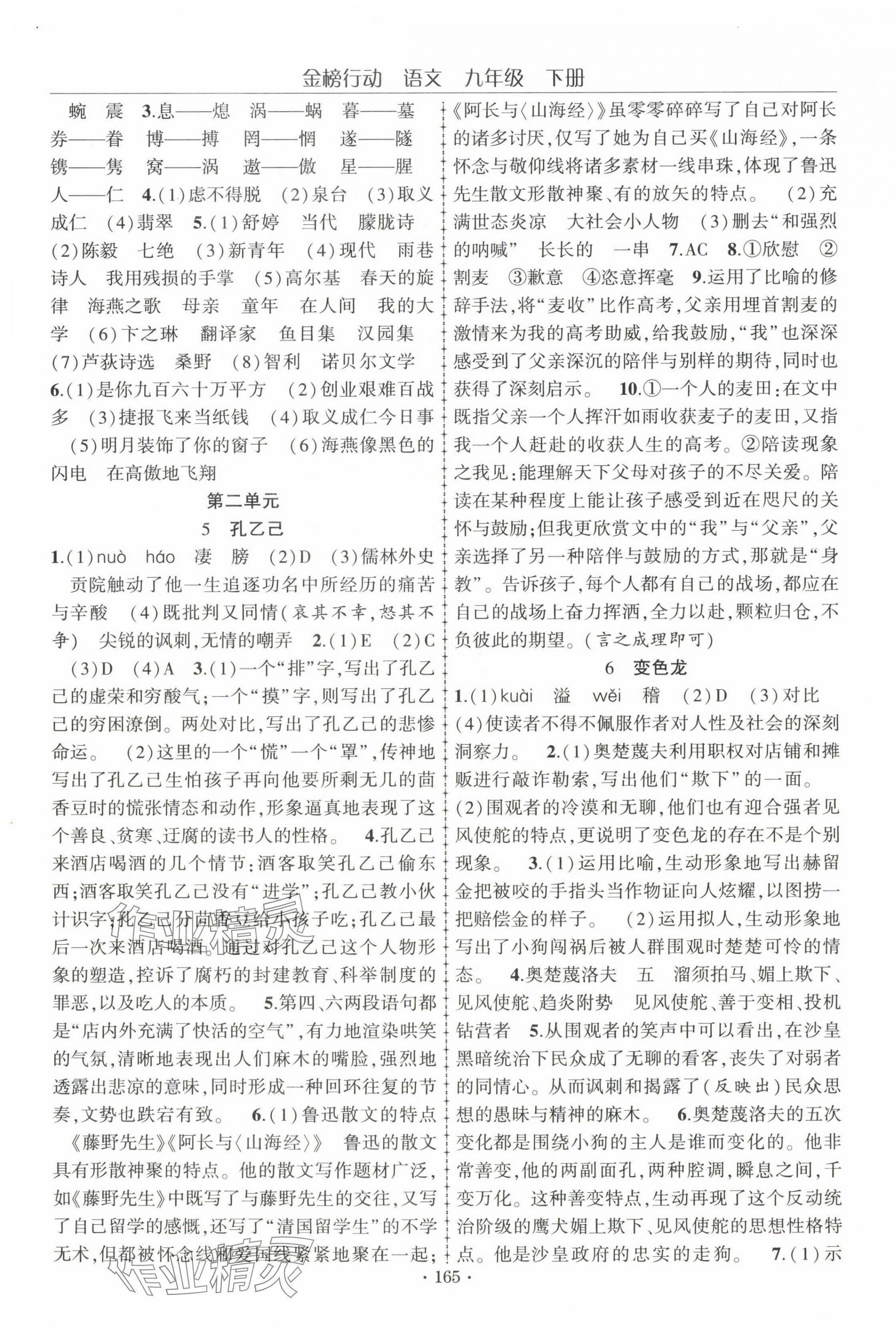2025年金榜行動九年級語文下冊人教版 第3頁