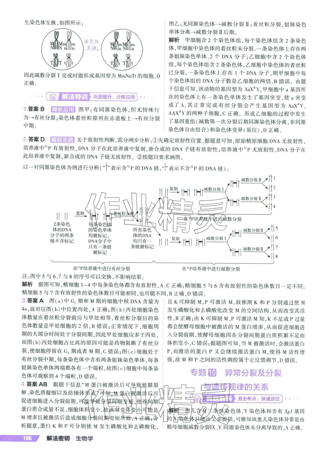 2026年53解法密钥高考生物 第8页