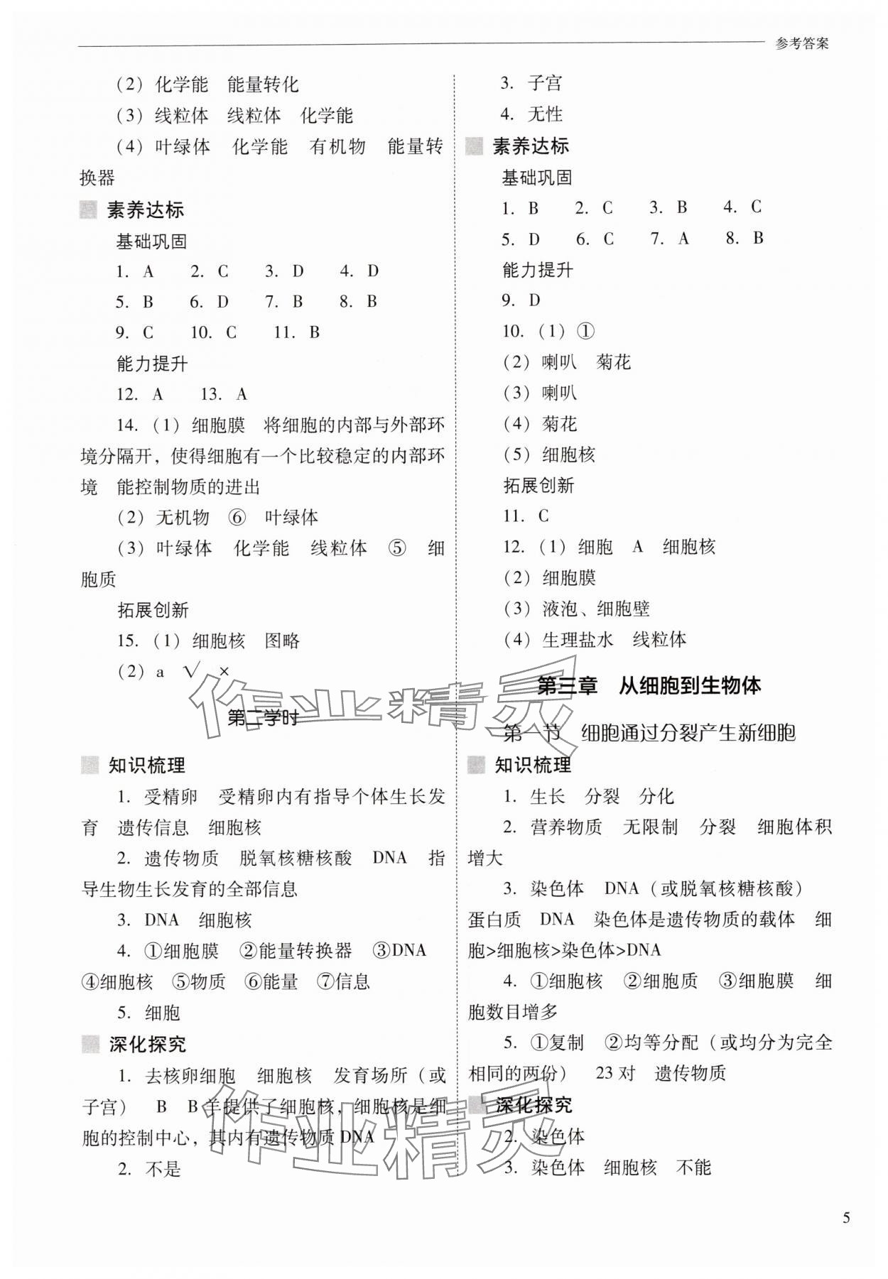 2025年新課程問題解決導學方案七年級生物上冊人教版&nbsp;參考答案第5頁