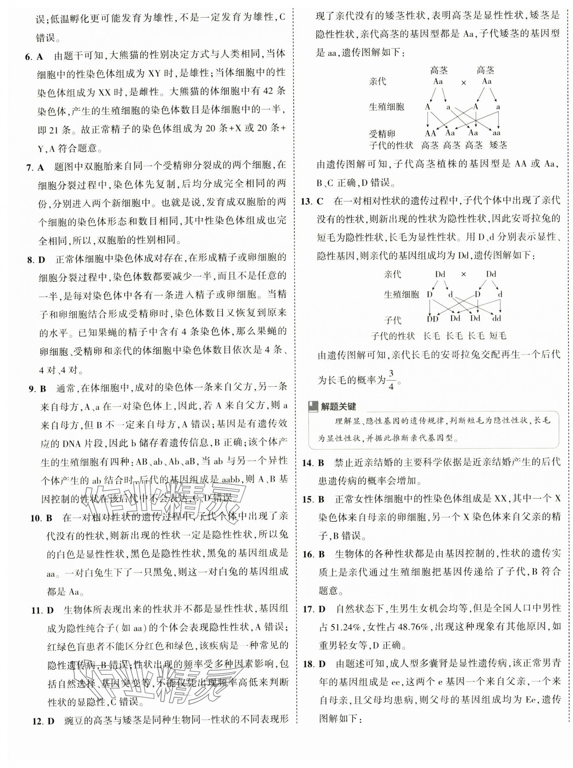 2025年5年中考3年模擬初中試卷八年級生物下冊人教版 第5頁