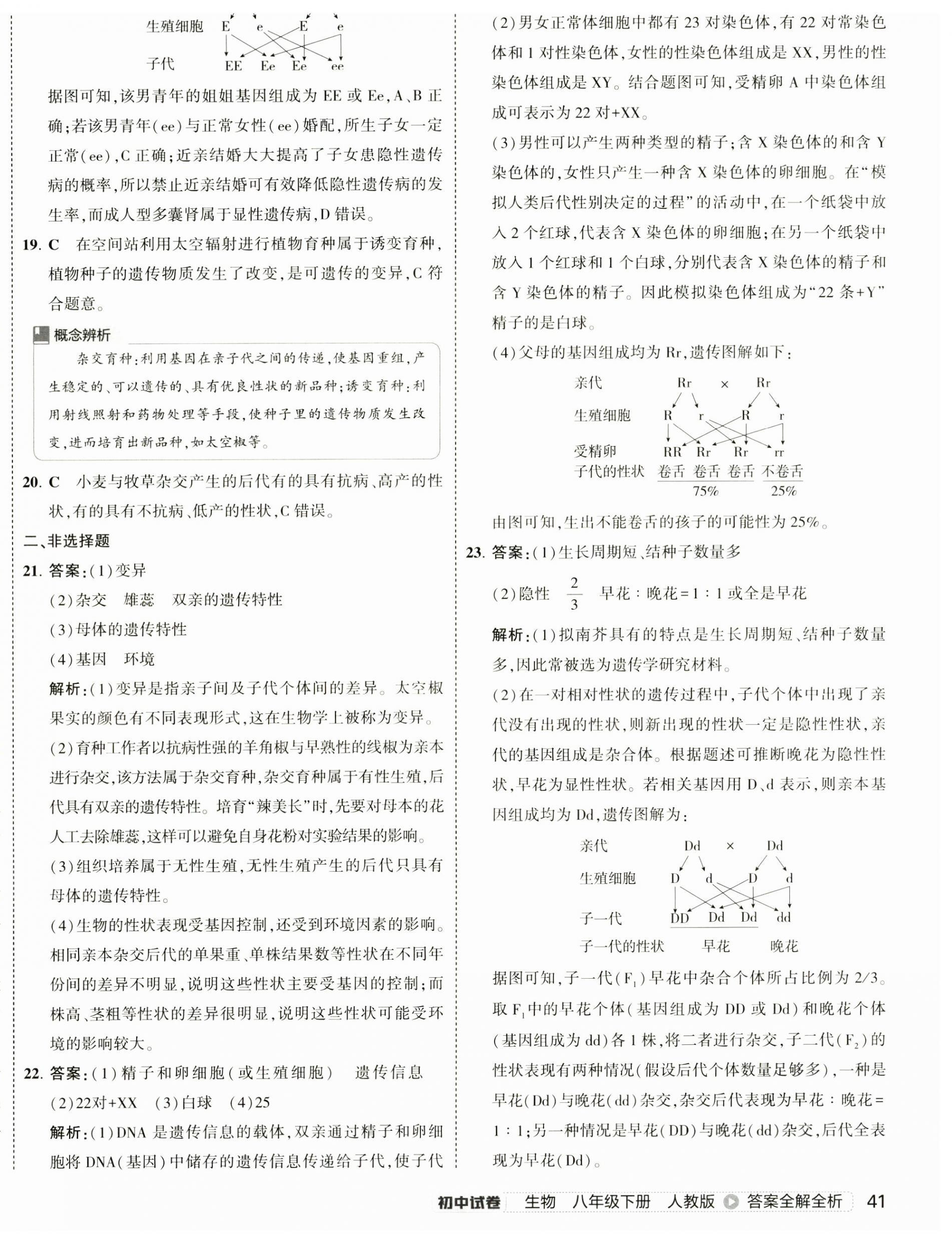 2025年5年中考3年模擬初中試卷八年級(jí)生物下冊人教版 第6頁
