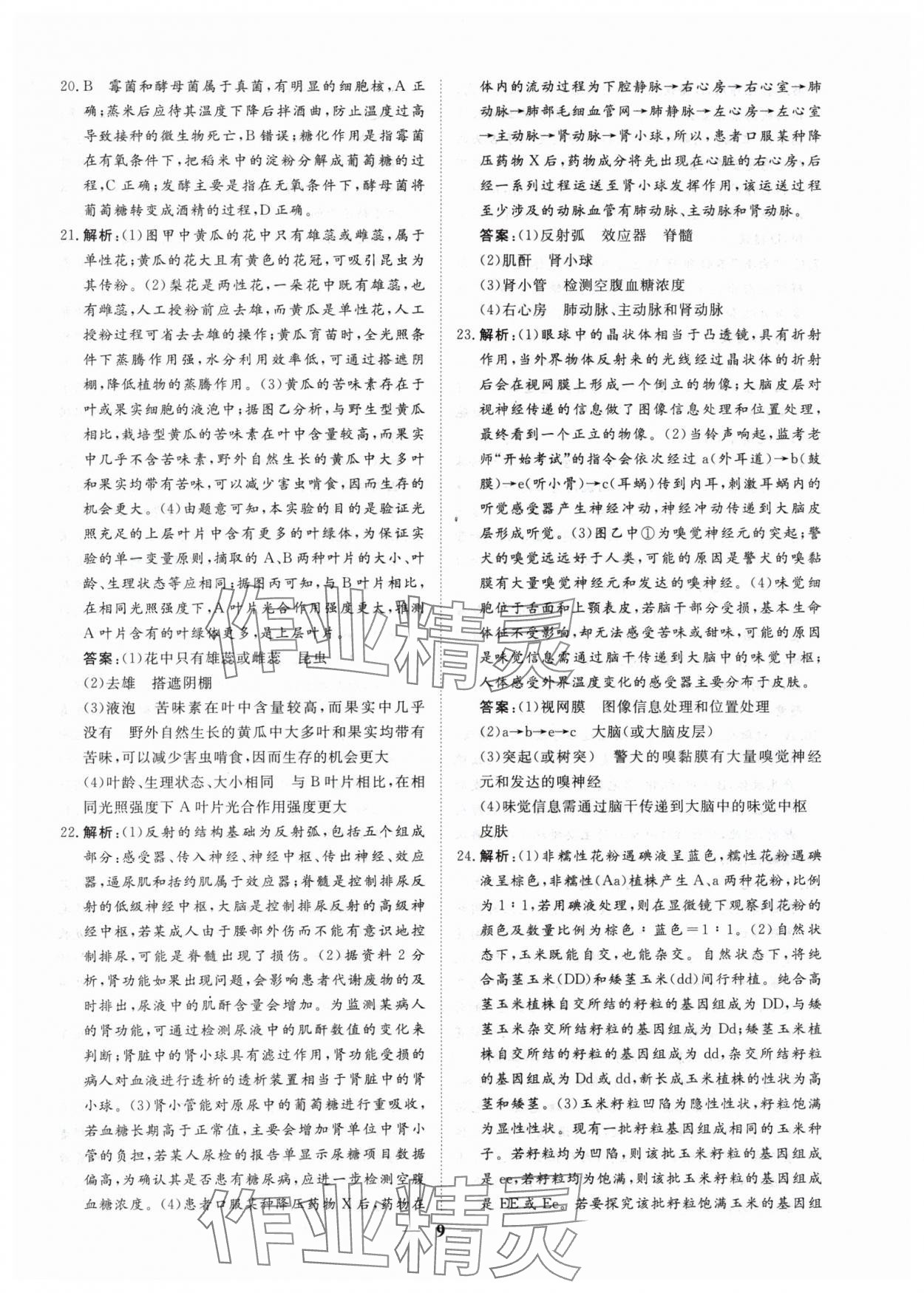 2024年風向標初中學業水平測試山東省各地市中考試題匯編生物 參考答案第9頁