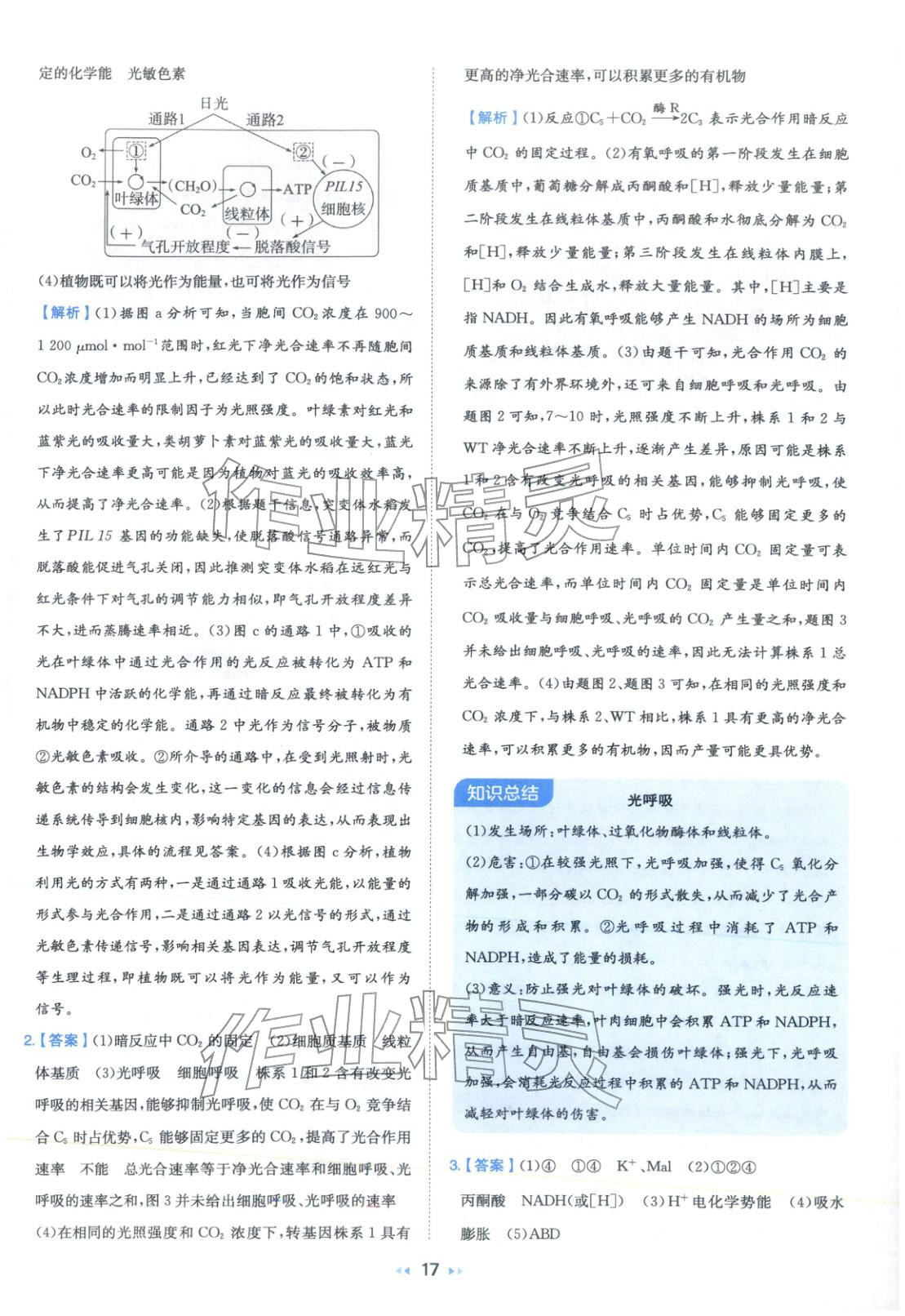2026年一本真题分类高考生物&nbsp;第17页