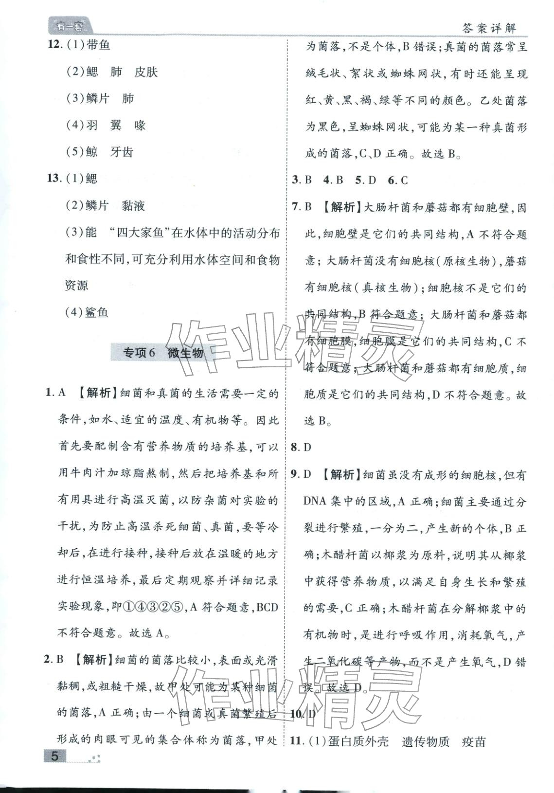 2025年有一套初中各地市期末真题七年级生物上册人教版 参考答案第5页